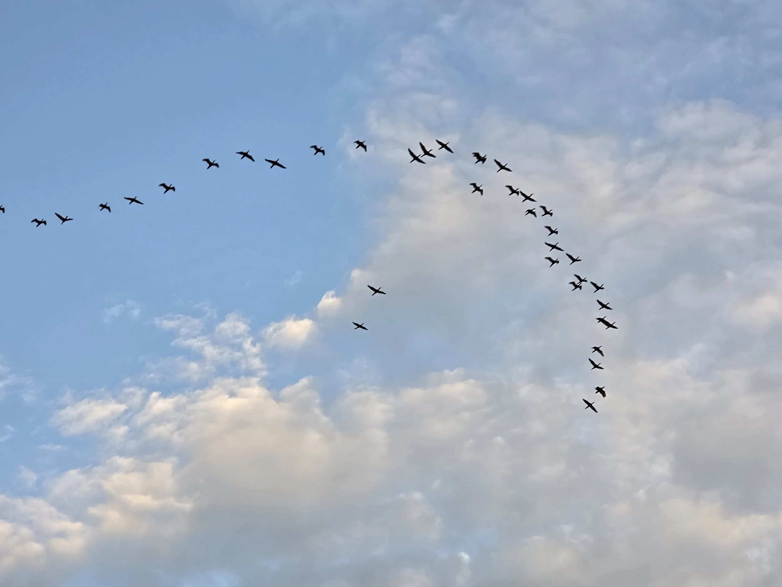 20260628_173651.jpg