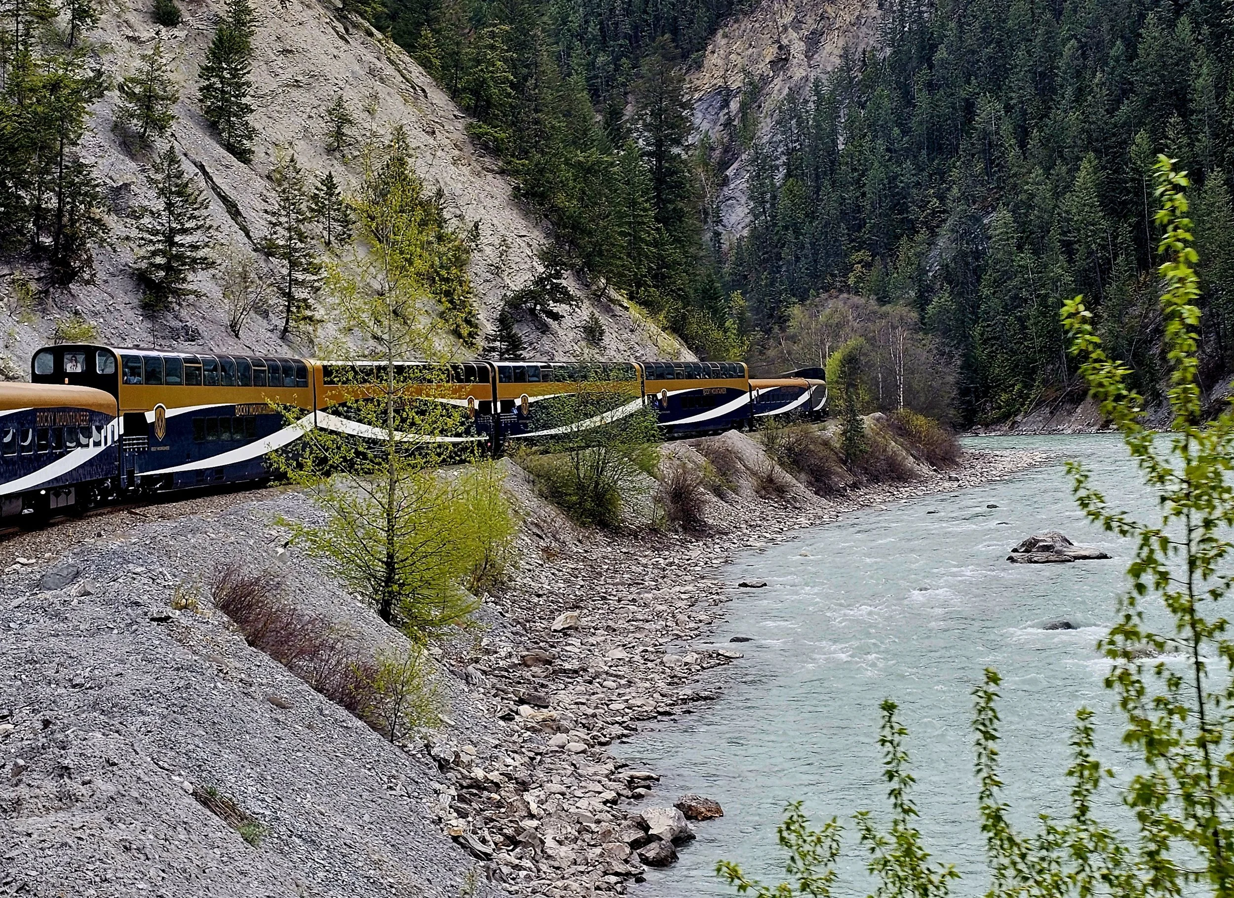 20250429_152503.jpg