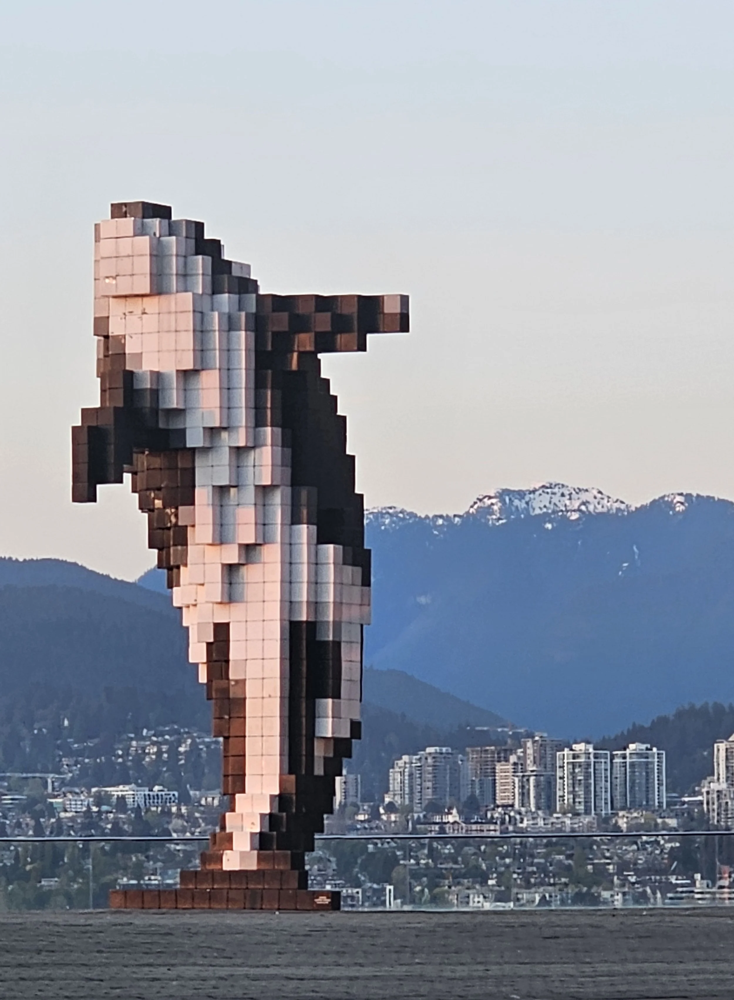 20250425_201006.jpg