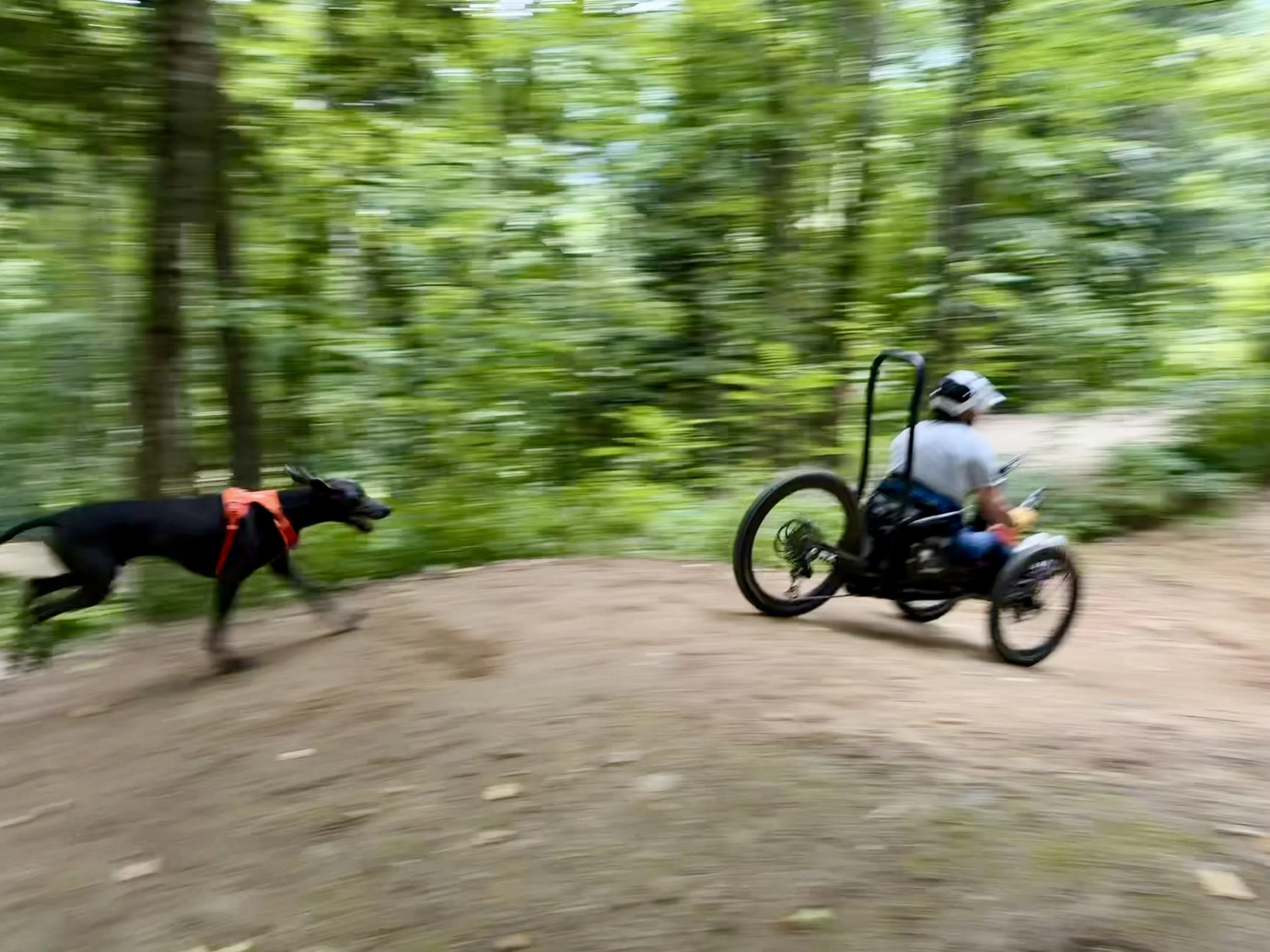 Louis Arevelo and his dog race down a mountain biking path -- Louis on his adaptive bike and his dog close behind.