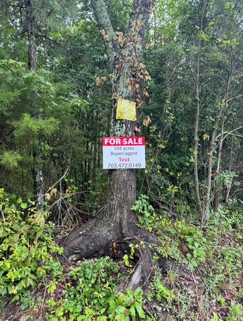 image0.jpeg