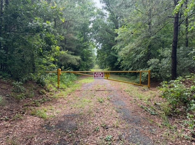 image4.jpeg