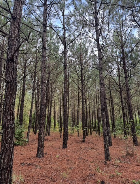 image6.jpeg