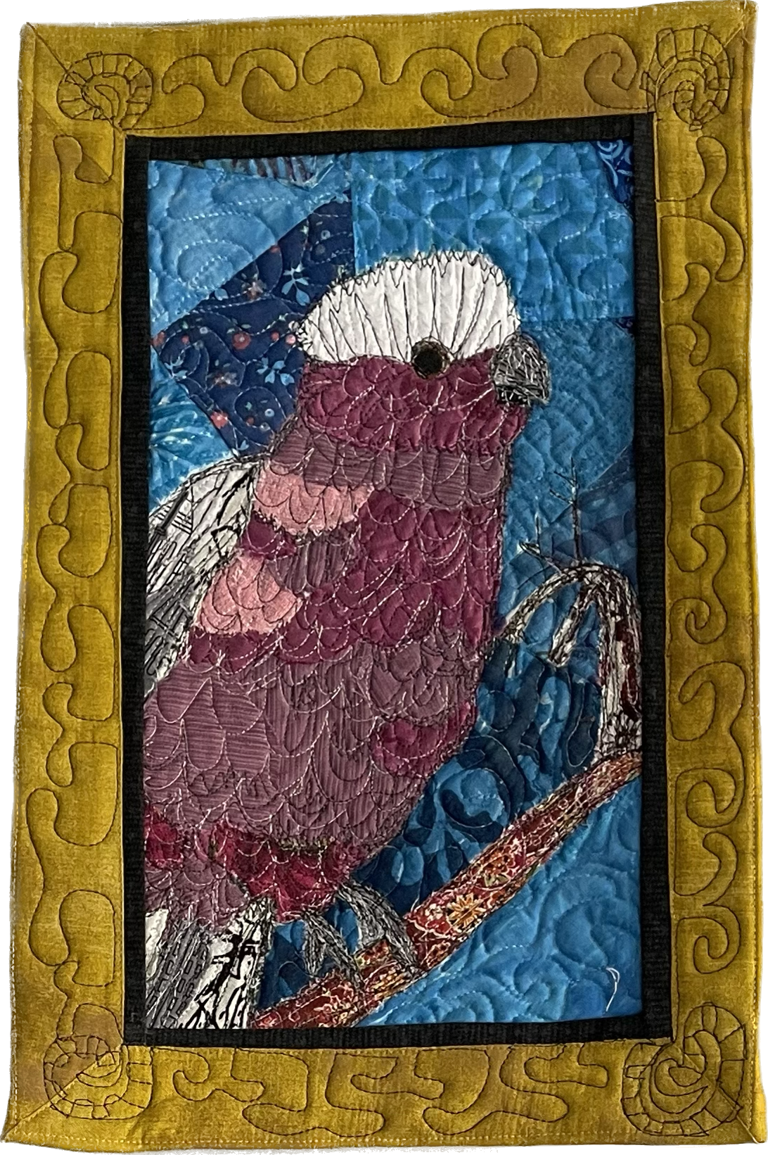 Galah 22.png