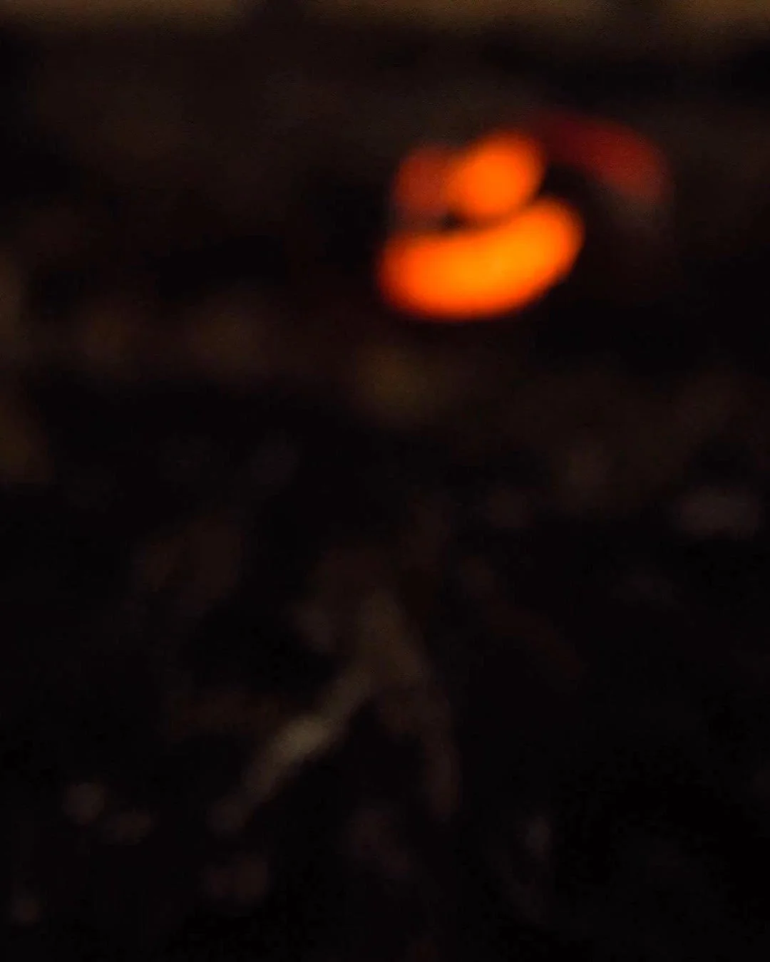 We've been brewing up something special for the spooky season......