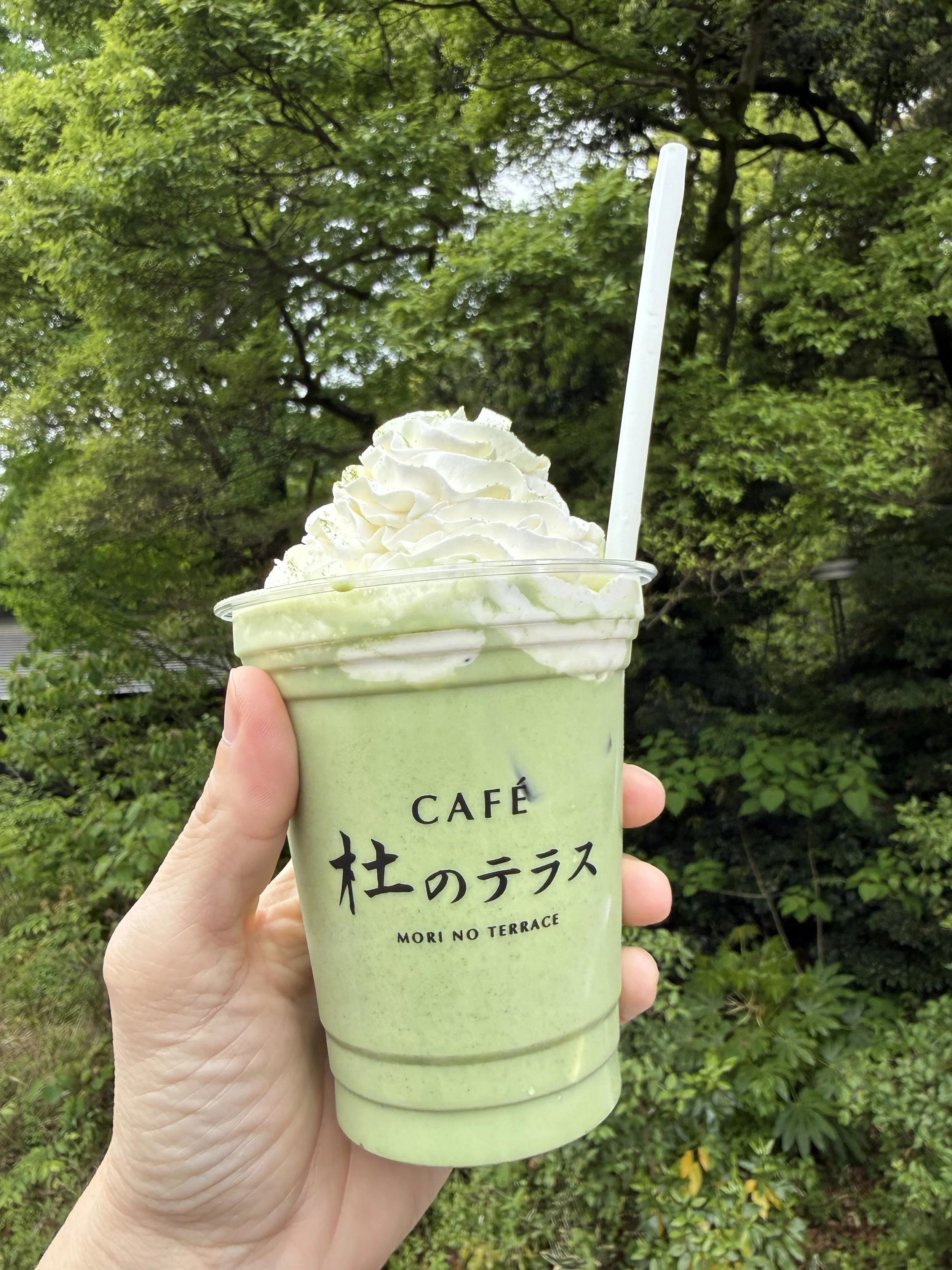 IMG_1097.jpeg