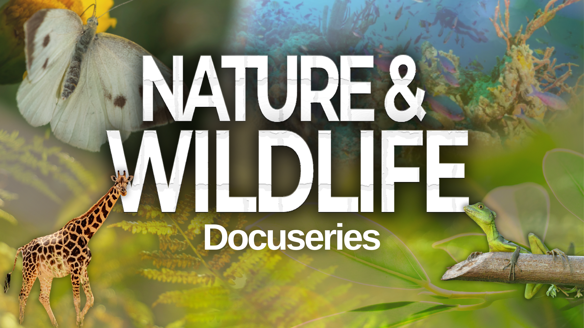 Nature & Wildlife Docuseries