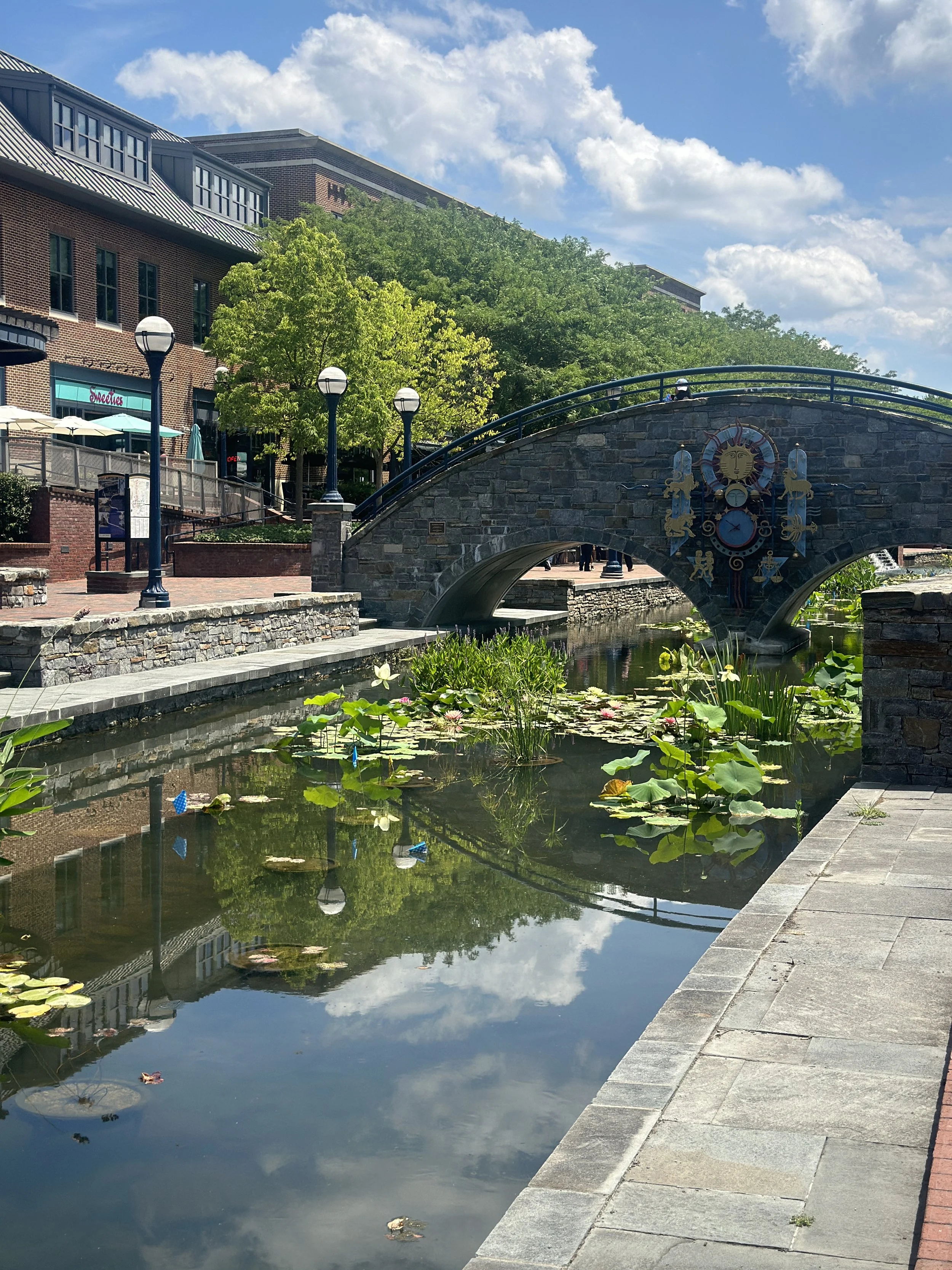 A stone bridge over a canal  in Maryland with water lilies, part of a cityscape with brick buildings, trees, and street lamps under a partly cloudy sky.
