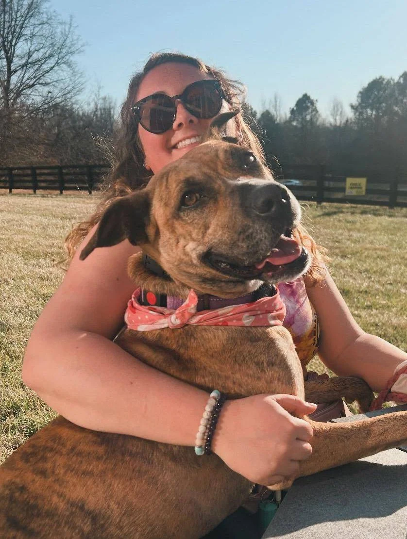 Pitbull training in Carlisle PA