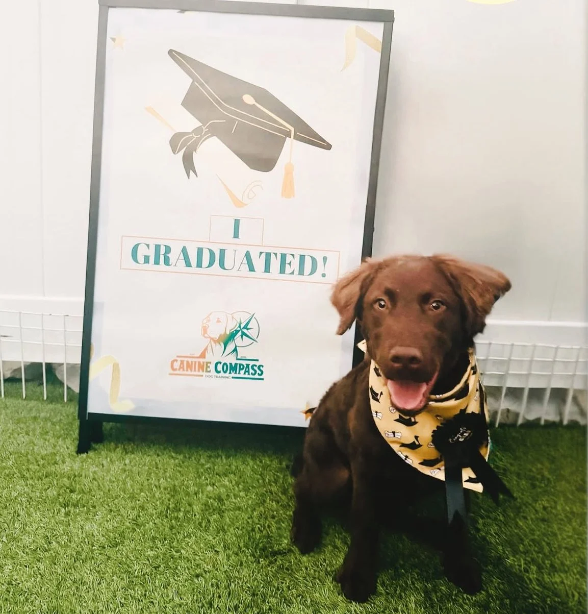 Puppy Group Class in Carlisle, PA