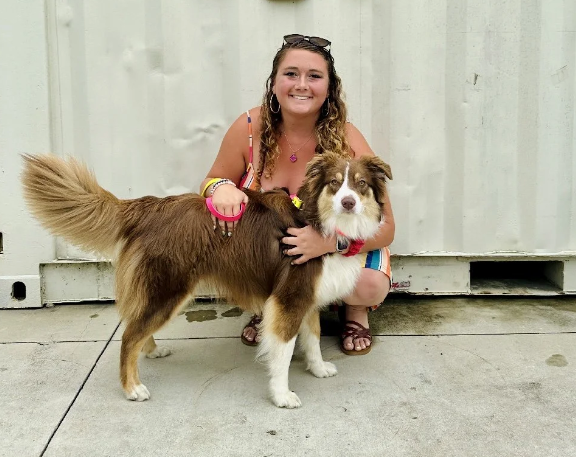 Aggressive dog training in Carlisle