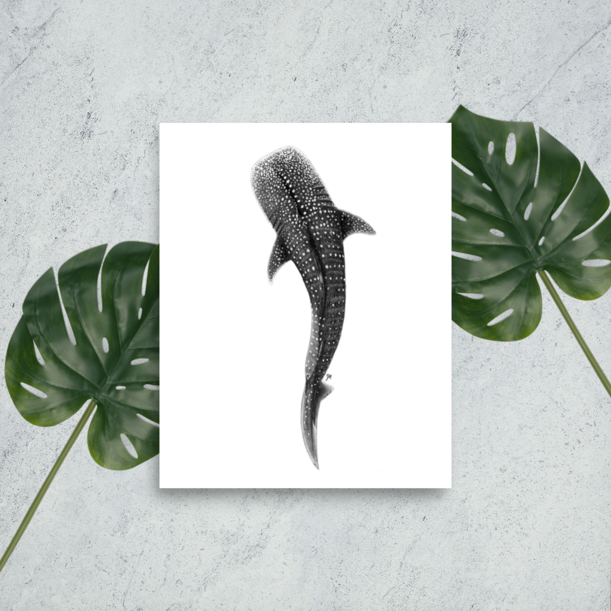 enhanced-matte-paper-poster-(in)-8x10-front-684e534962168.png