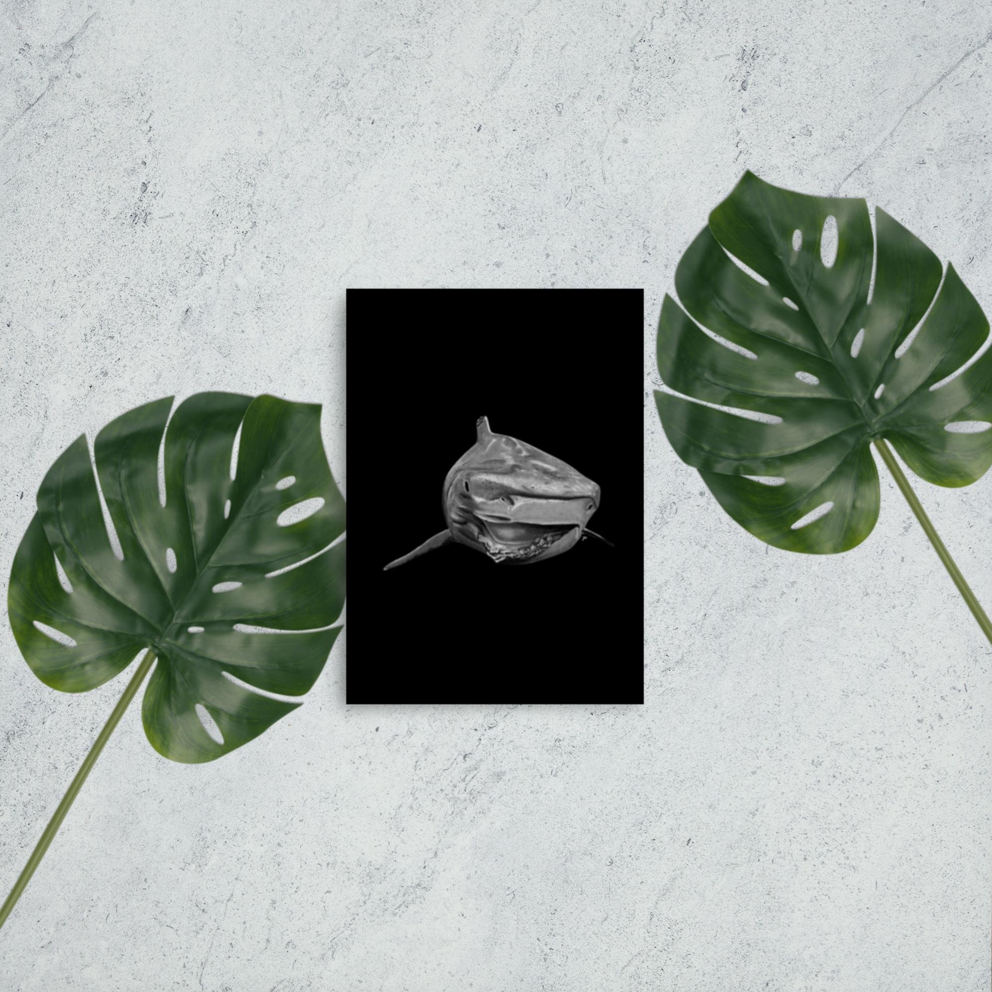 enhanced-matte-paper-poster-(in)-5x7-front-686412009e3ed.jpg