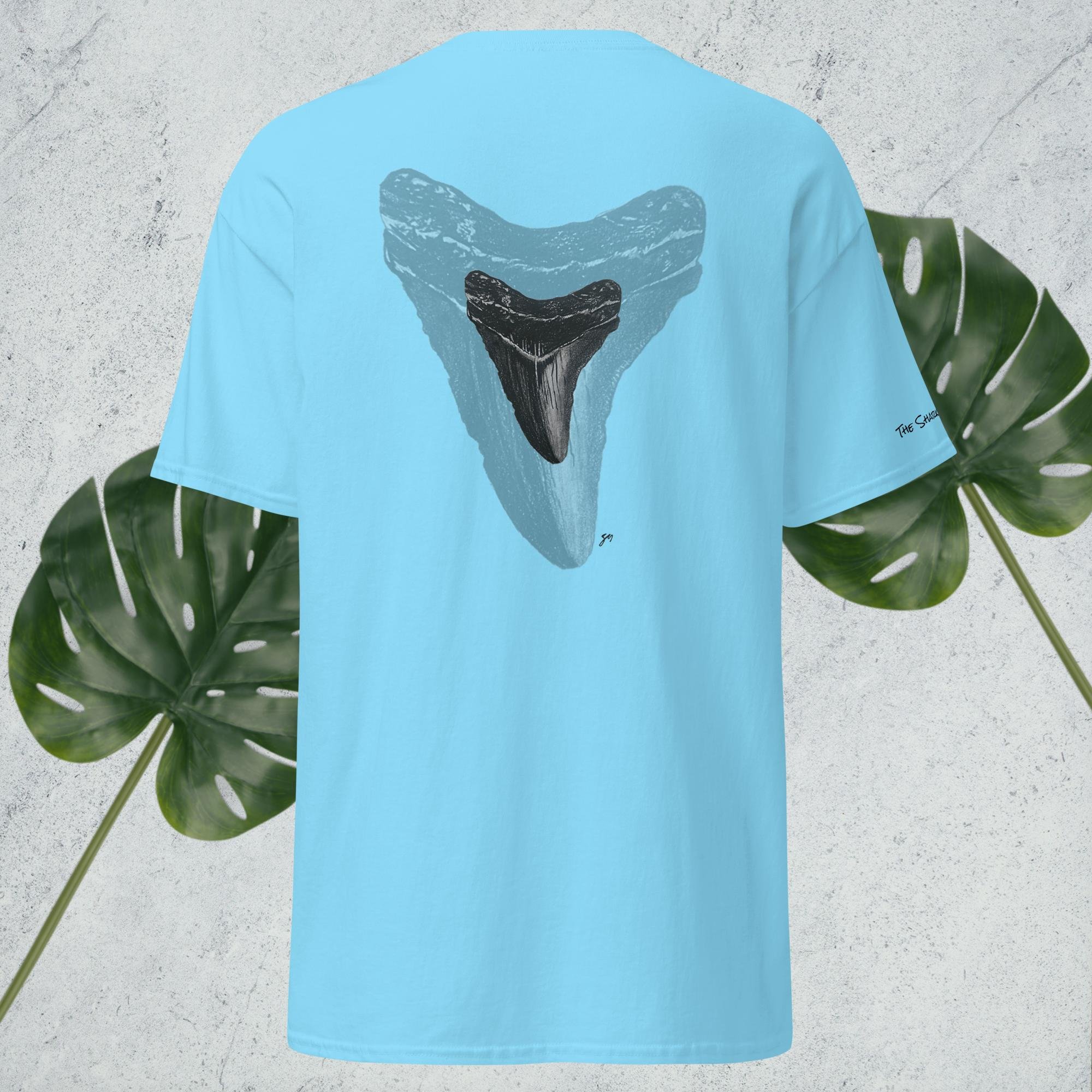 unisex-classic-tee-sky-back-68730a71af357.jpg