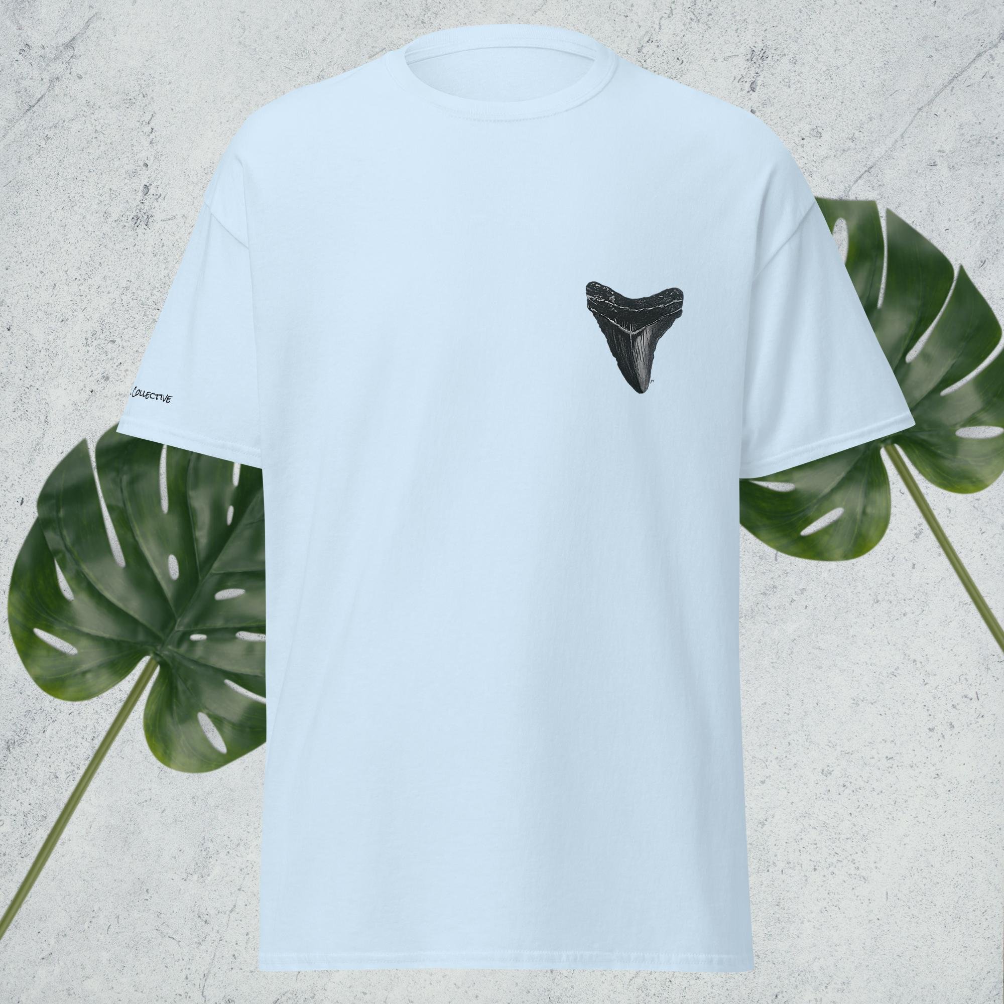 unisex-classic-tee-light-blue-front-68730a71a090f.jpg