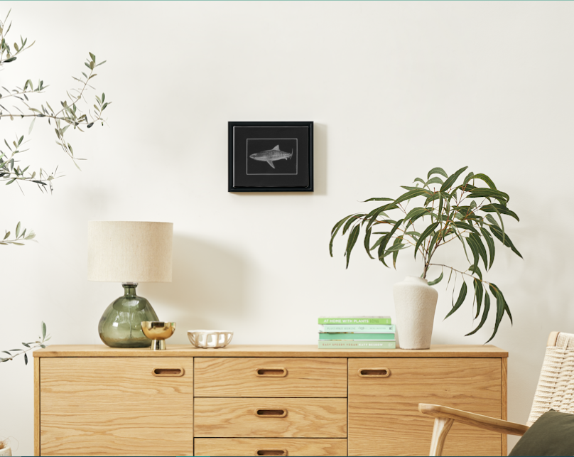 unknown tigershark framed afar .PNG