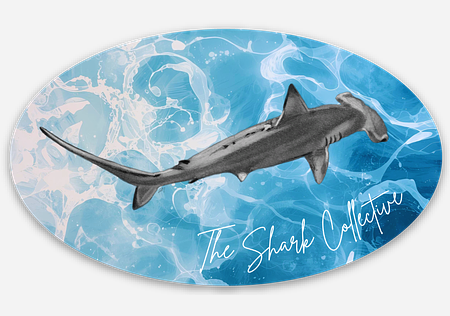 Oval Hammerhead Shark Sticker