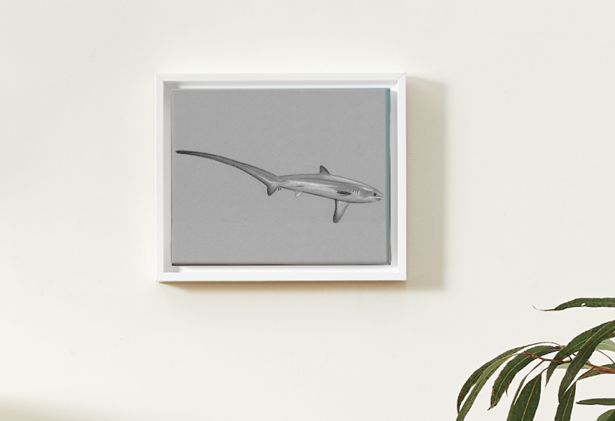 Thresher OG frame.PNG