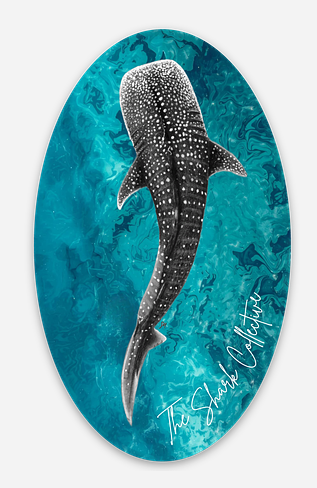 Oval Whale Shark Sticker