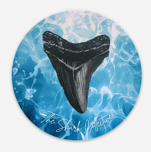 Circle Meg Tooth Sticker