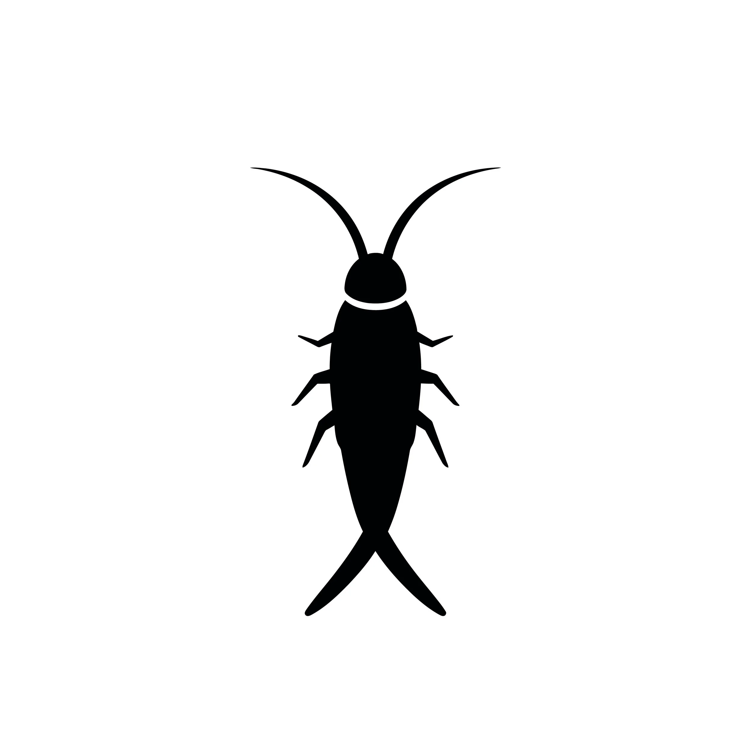 Black silhouette of a silverfish with long antennae and tail bristles.