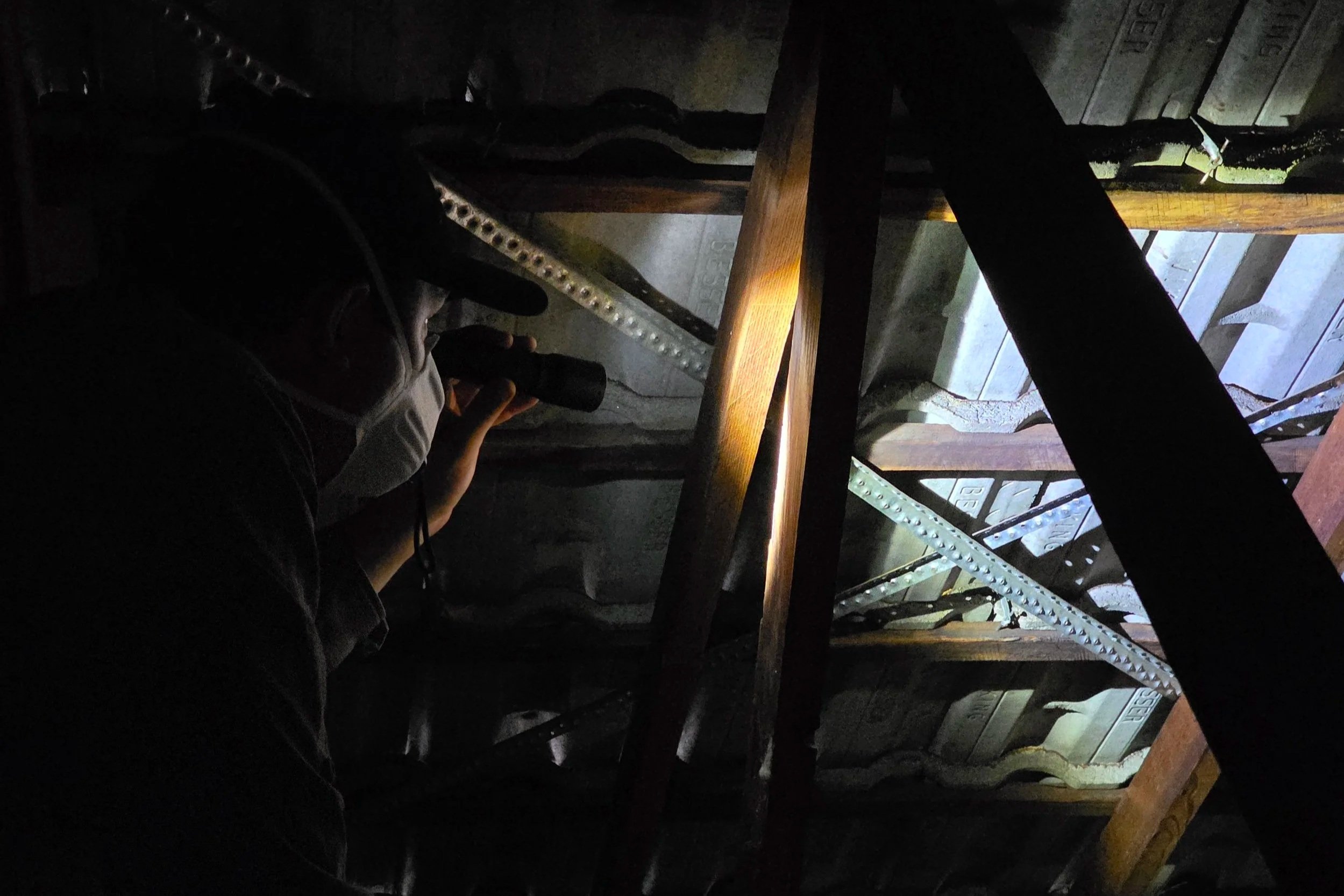 Licensed pest inspector conducting detailed roof void inspection for termite evidence.