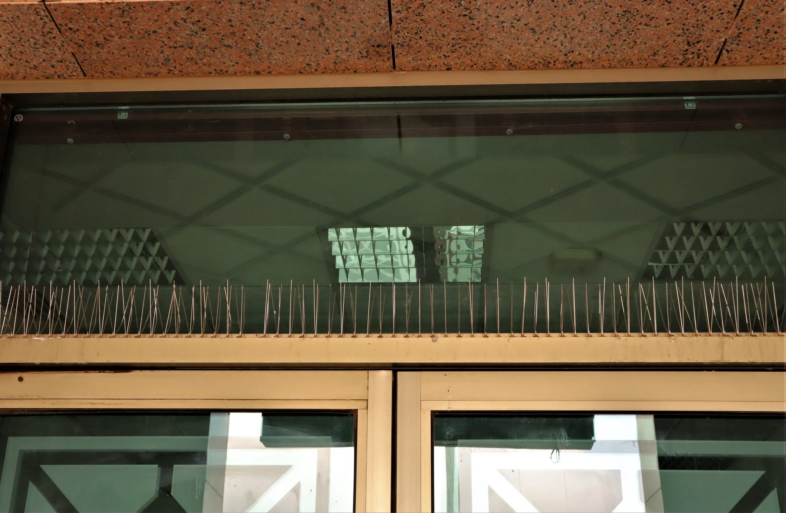 Bird spikes installed along the top of a glass door to prevent pigeons roosting, shown in close-up with ceiling reflections, part of Ipswich pest control bird proofing services.