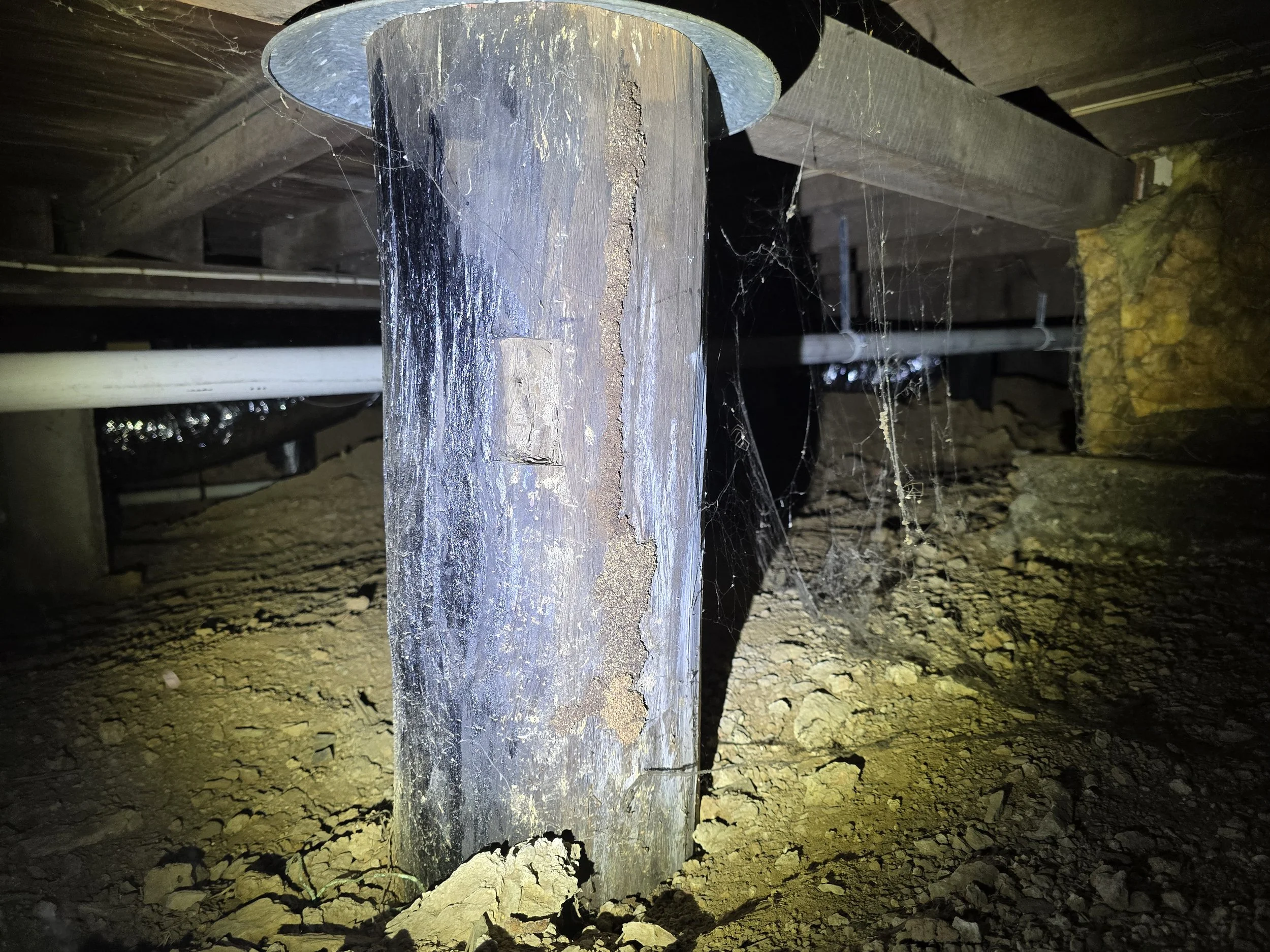 🪵 Termite Mud Lead on Timber Pier