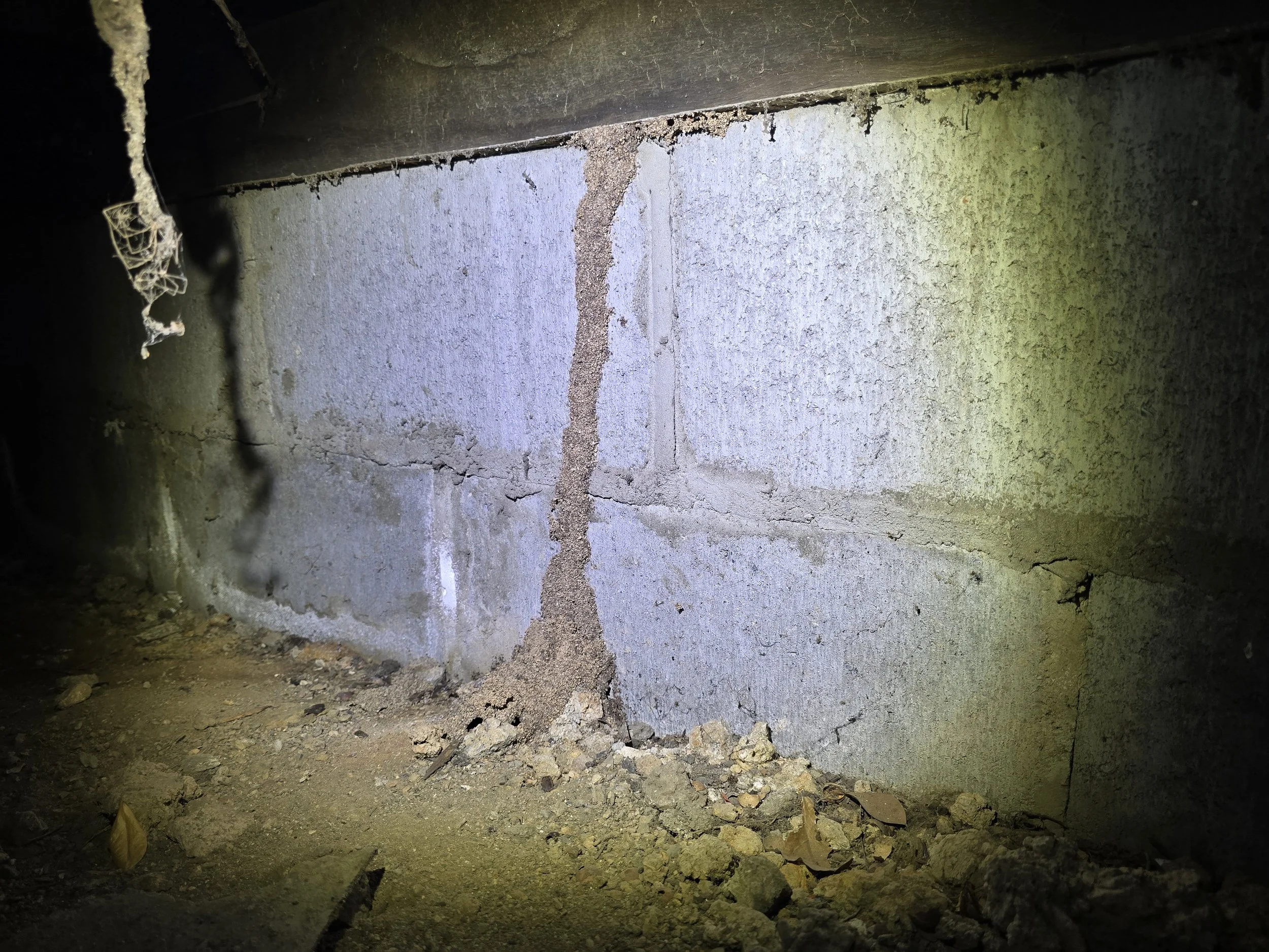 🧱 Mud Lead Up Cavity Brick Foundation Wall