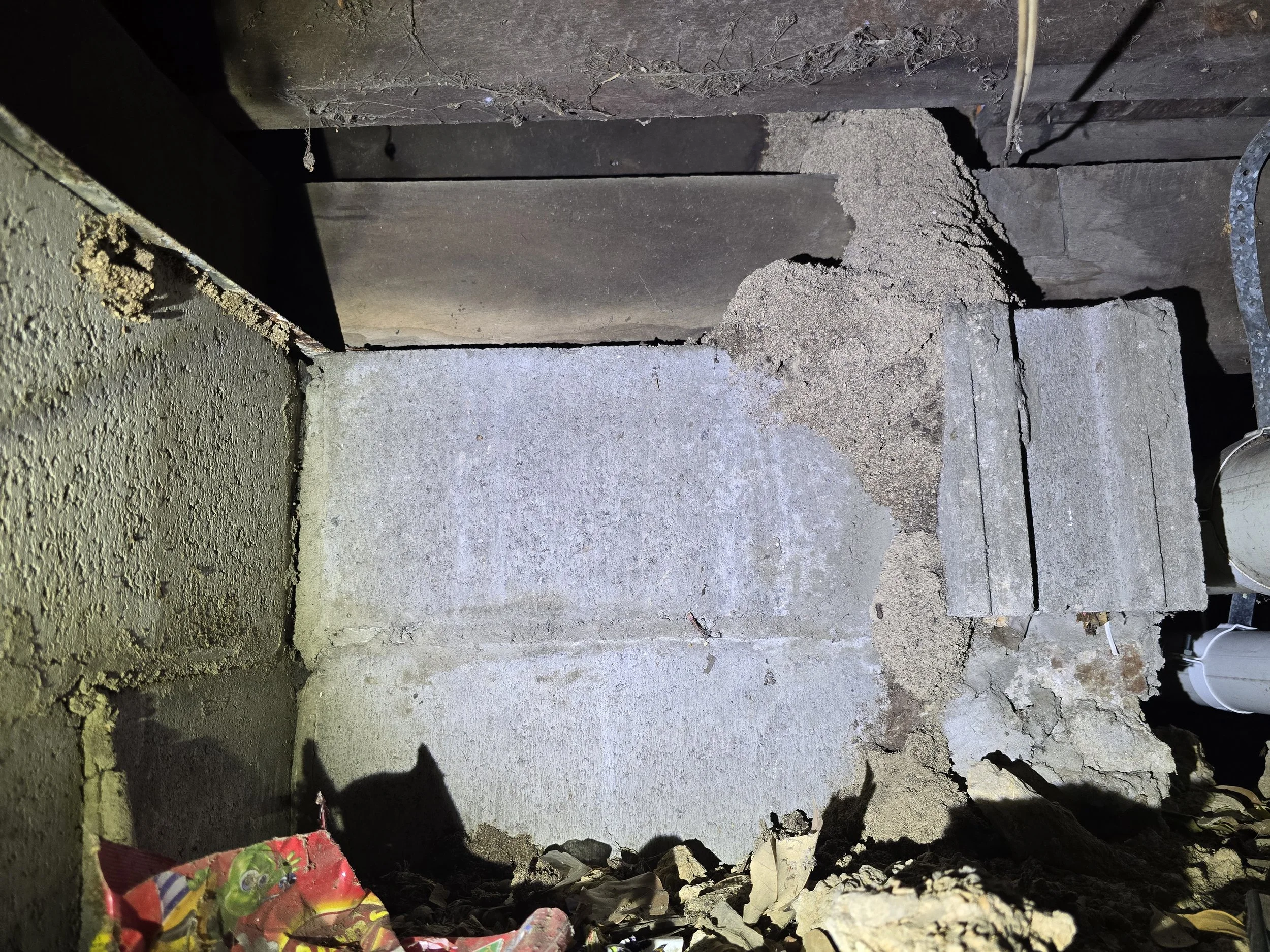 🏠 Schedorhinotermes Spp. Mud Lead Over Termite Shields Into Home.