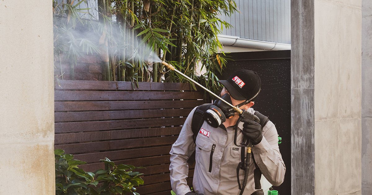 external pest control spray