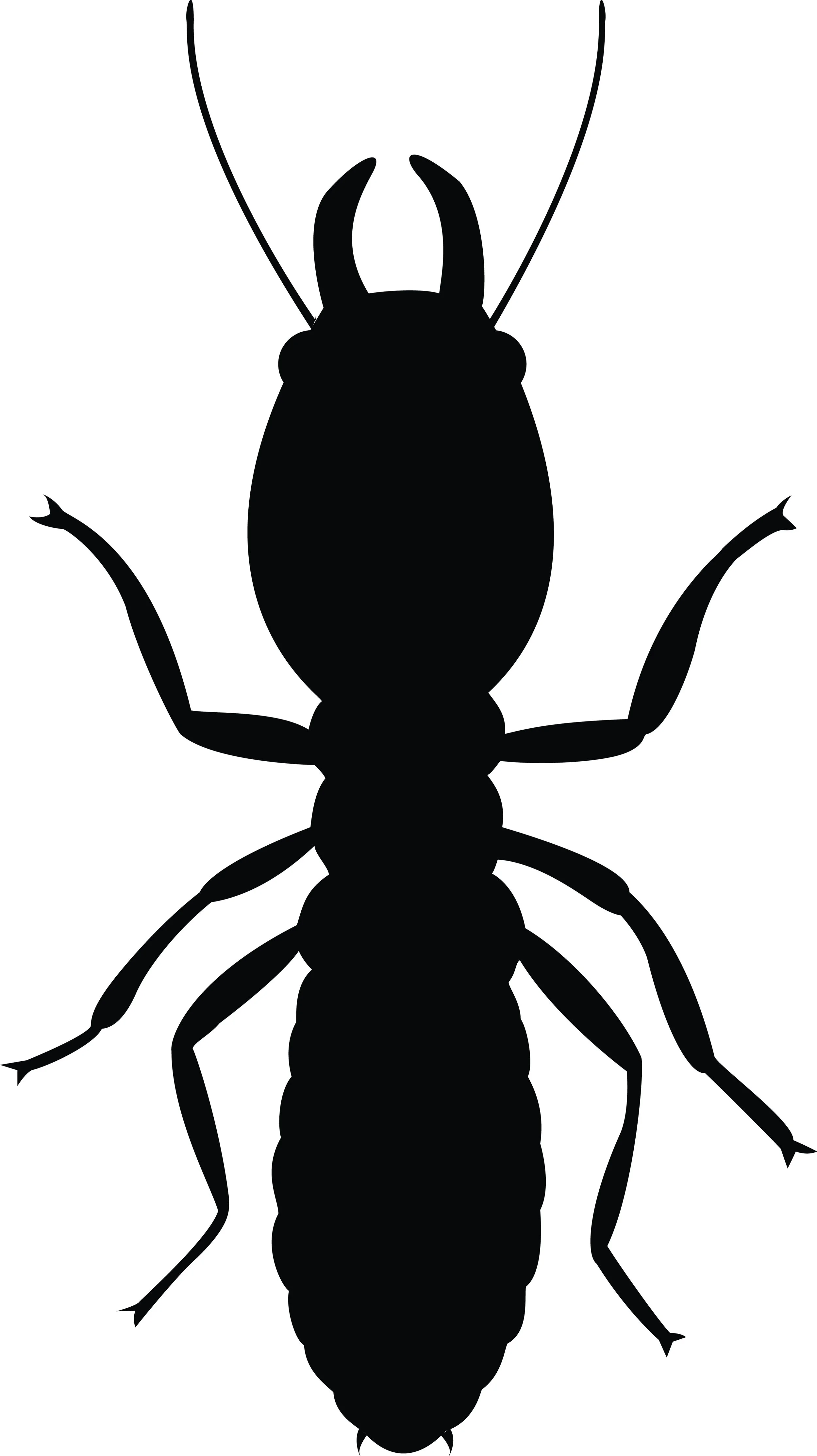 Silhouette of a termite with straight antennae and six legs.
