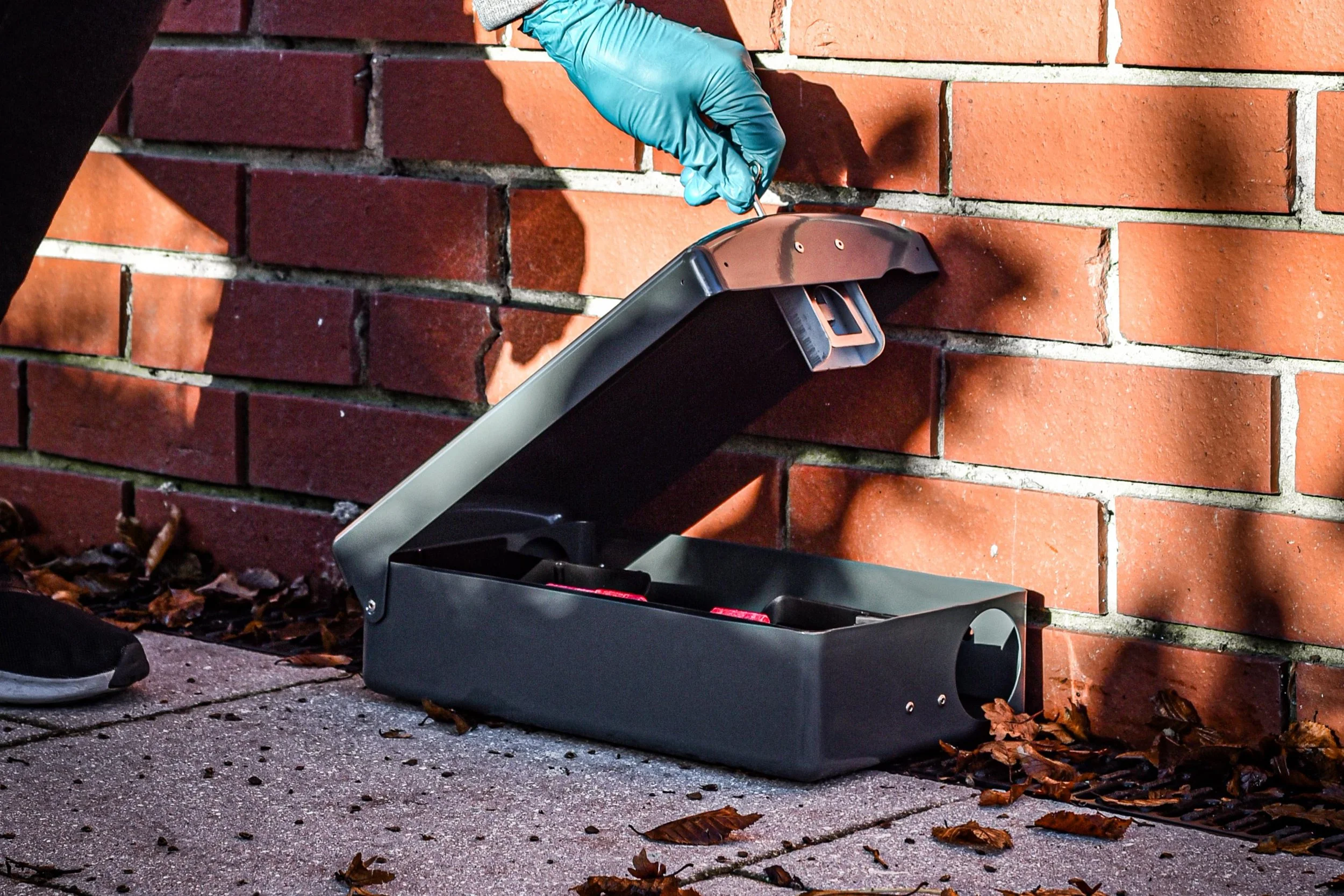 Professional rodent control service inspecting and maintaining bait stations safely.