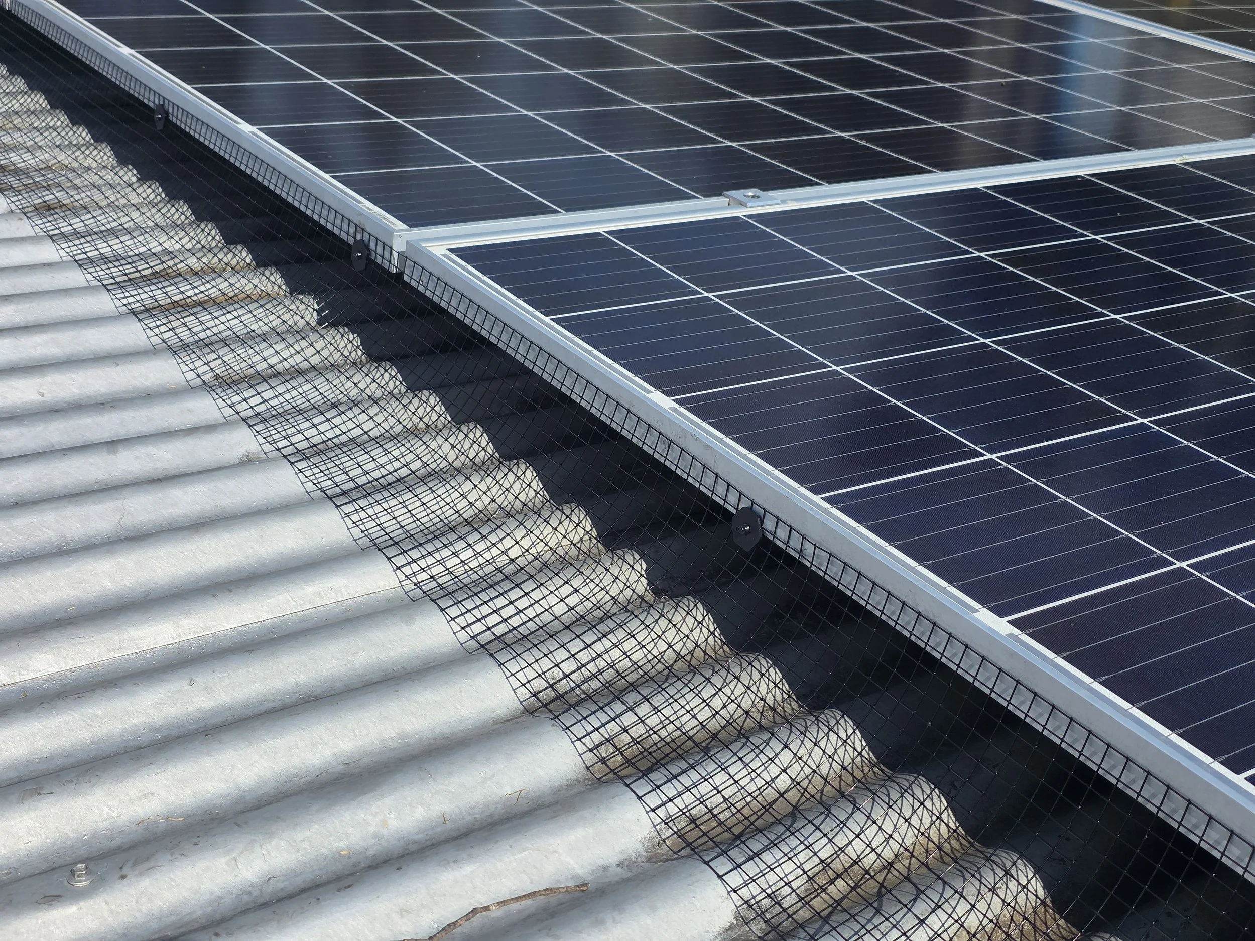 Close-up of solar panels on a corrugated metal roof with black pigeon-proofing mesh installed under the panels to prevent nesting.