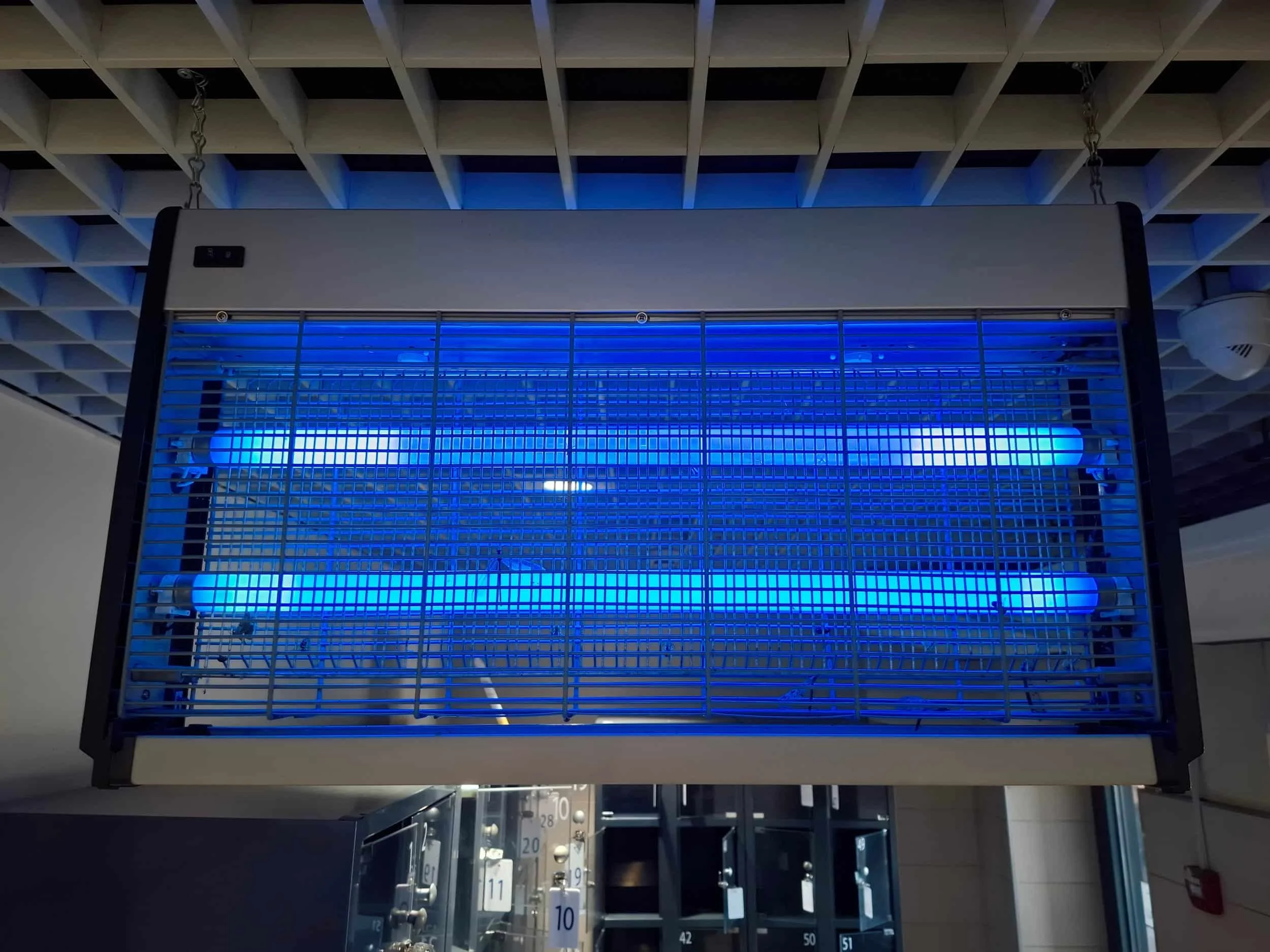 Commercial UV insect trap installed indoors for professional flying insect control