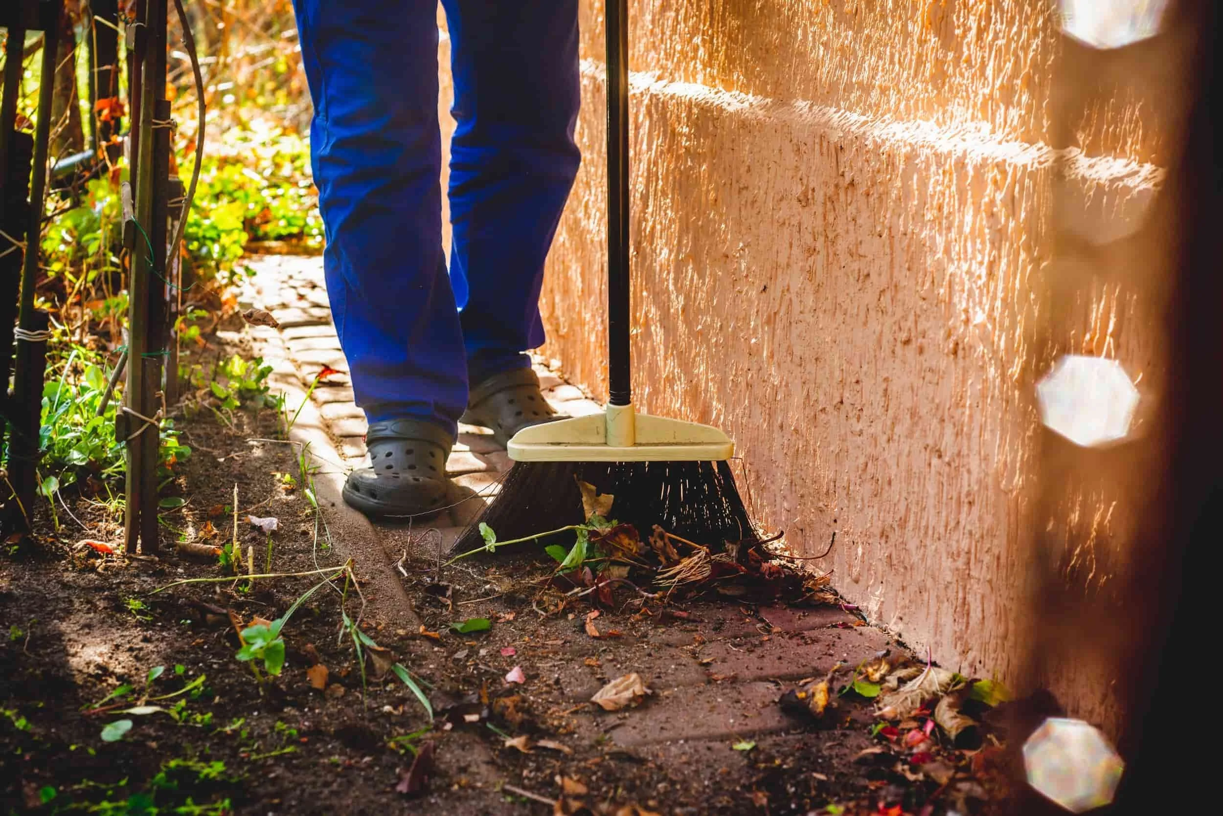 Leaf litter near the home creates a hiding spot for spiders and other pests