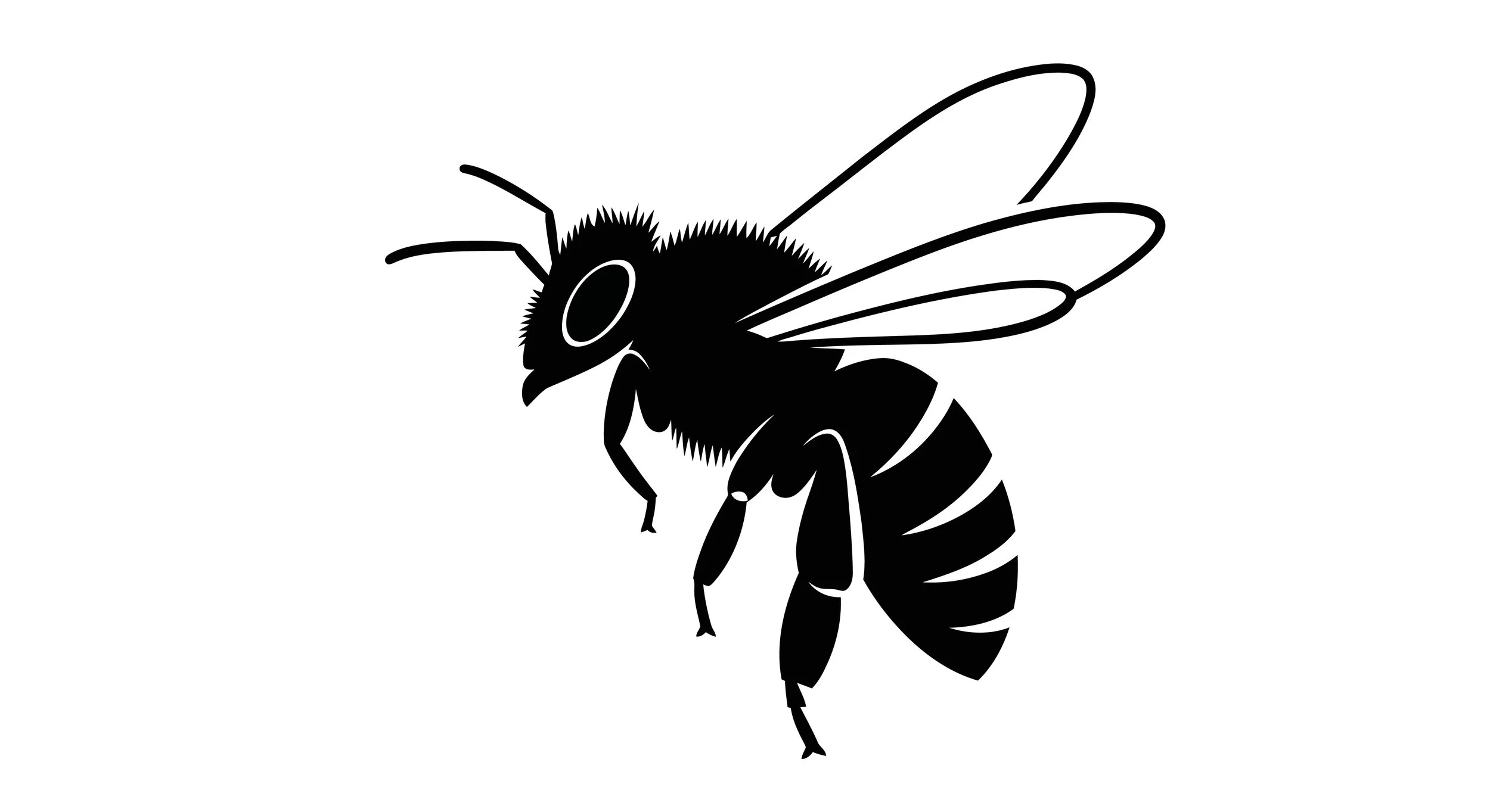 Silhouette of a bee with wings and antennae.