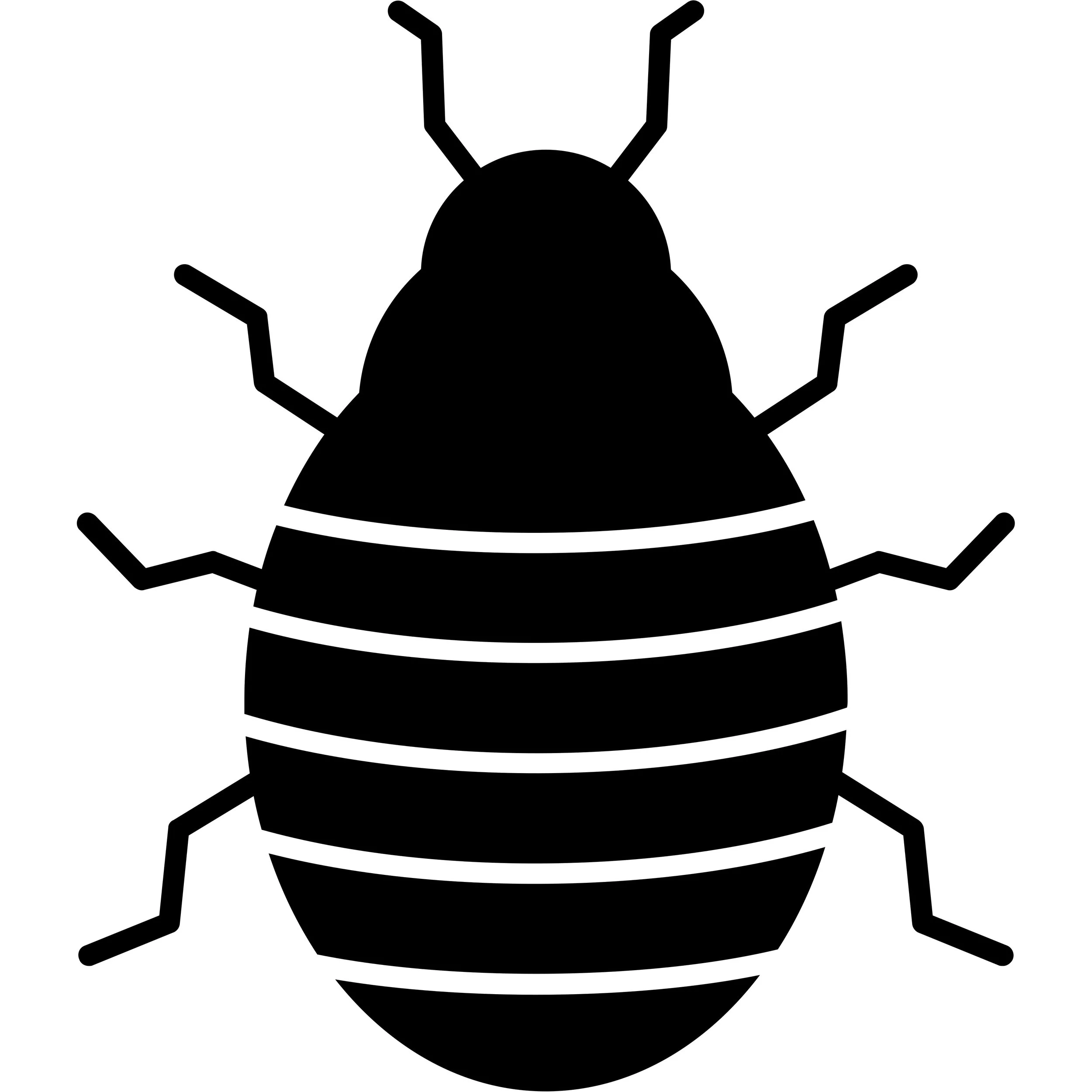 Silhouette of a bed bug with oval body and six legs.