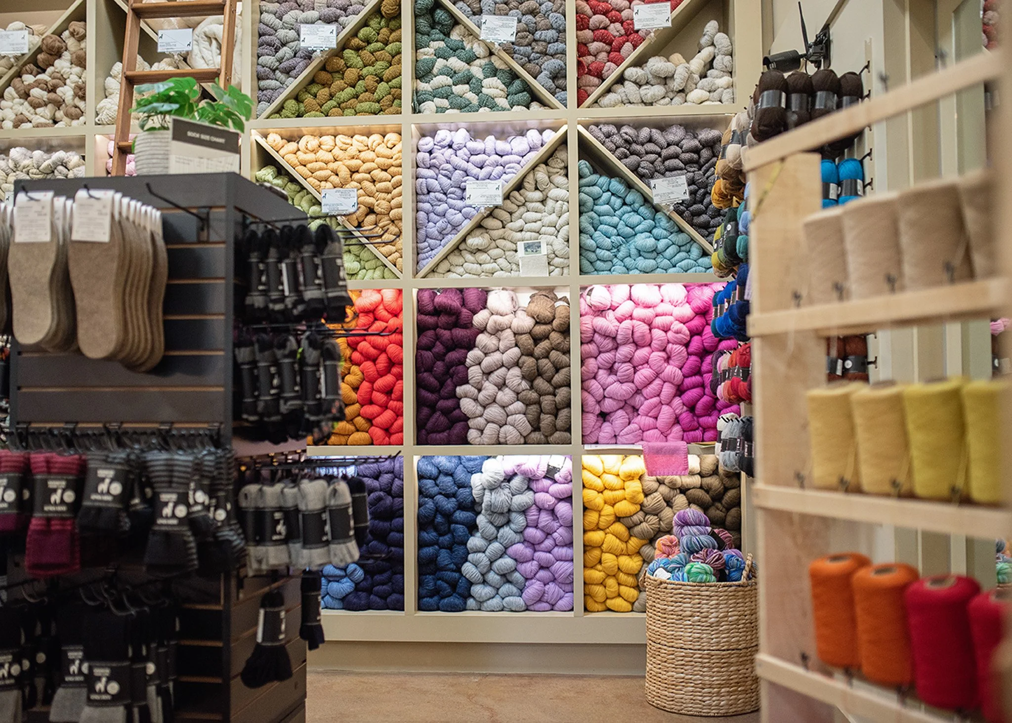 store 10.jpg