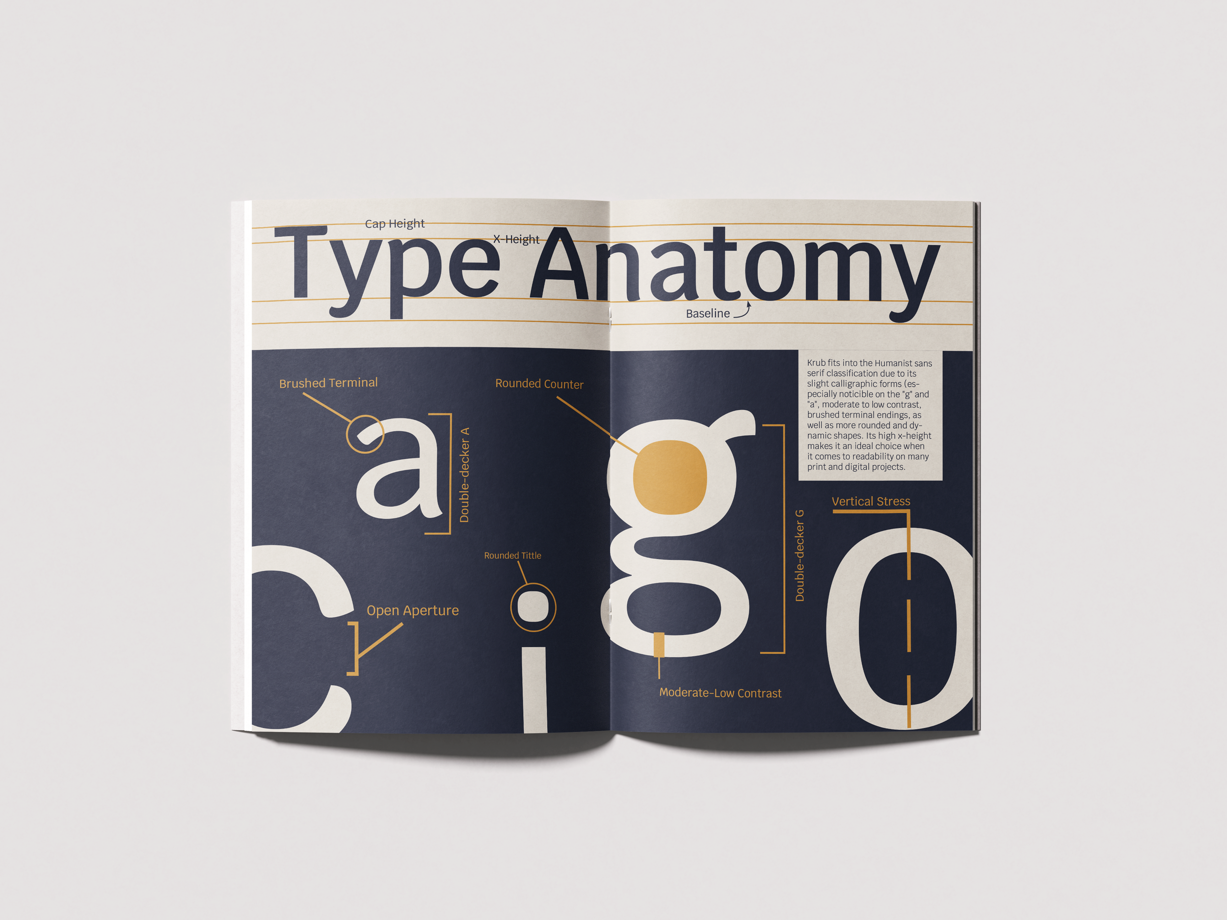 Typography Specimen Booklet