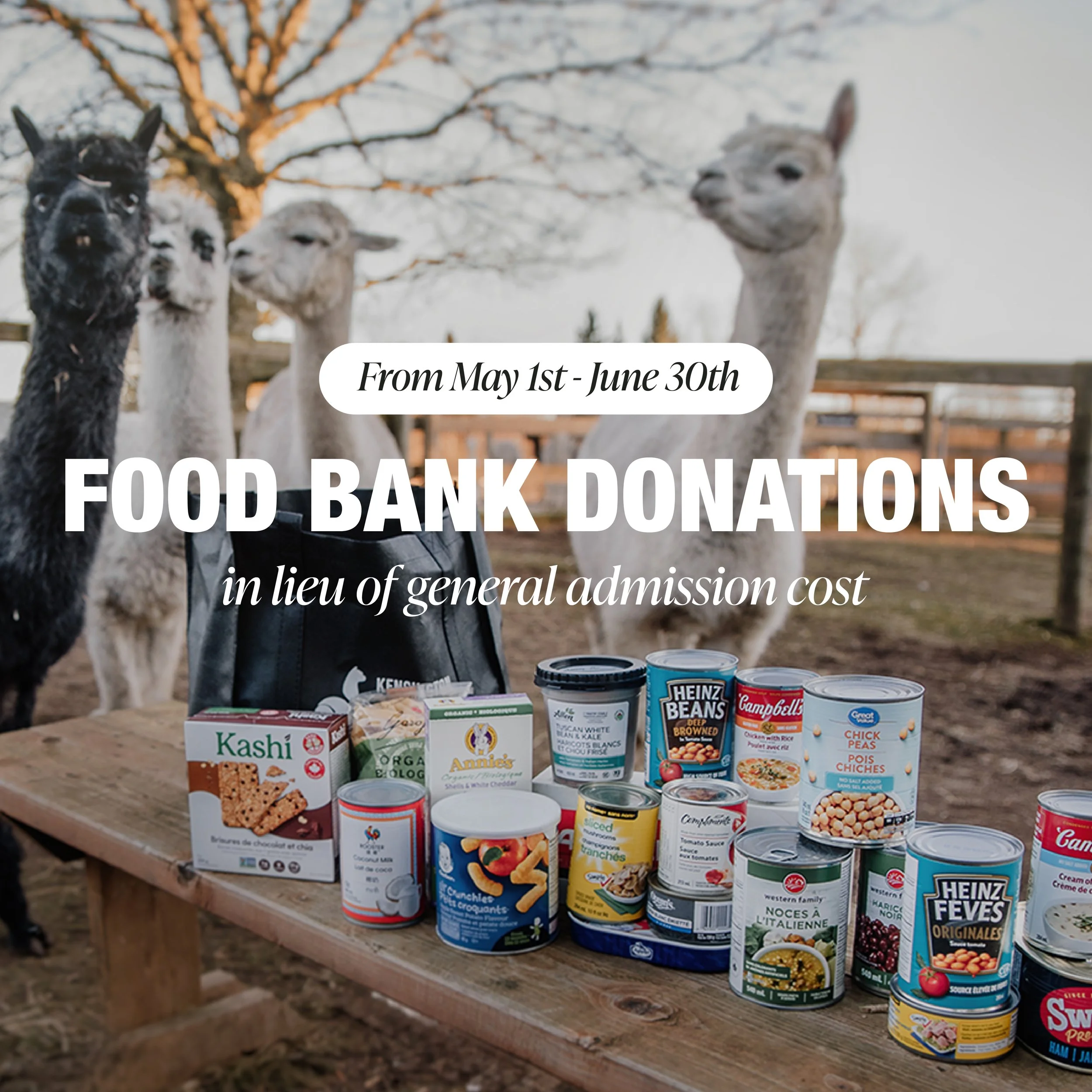 V2 - Food Bank Donations.jpg