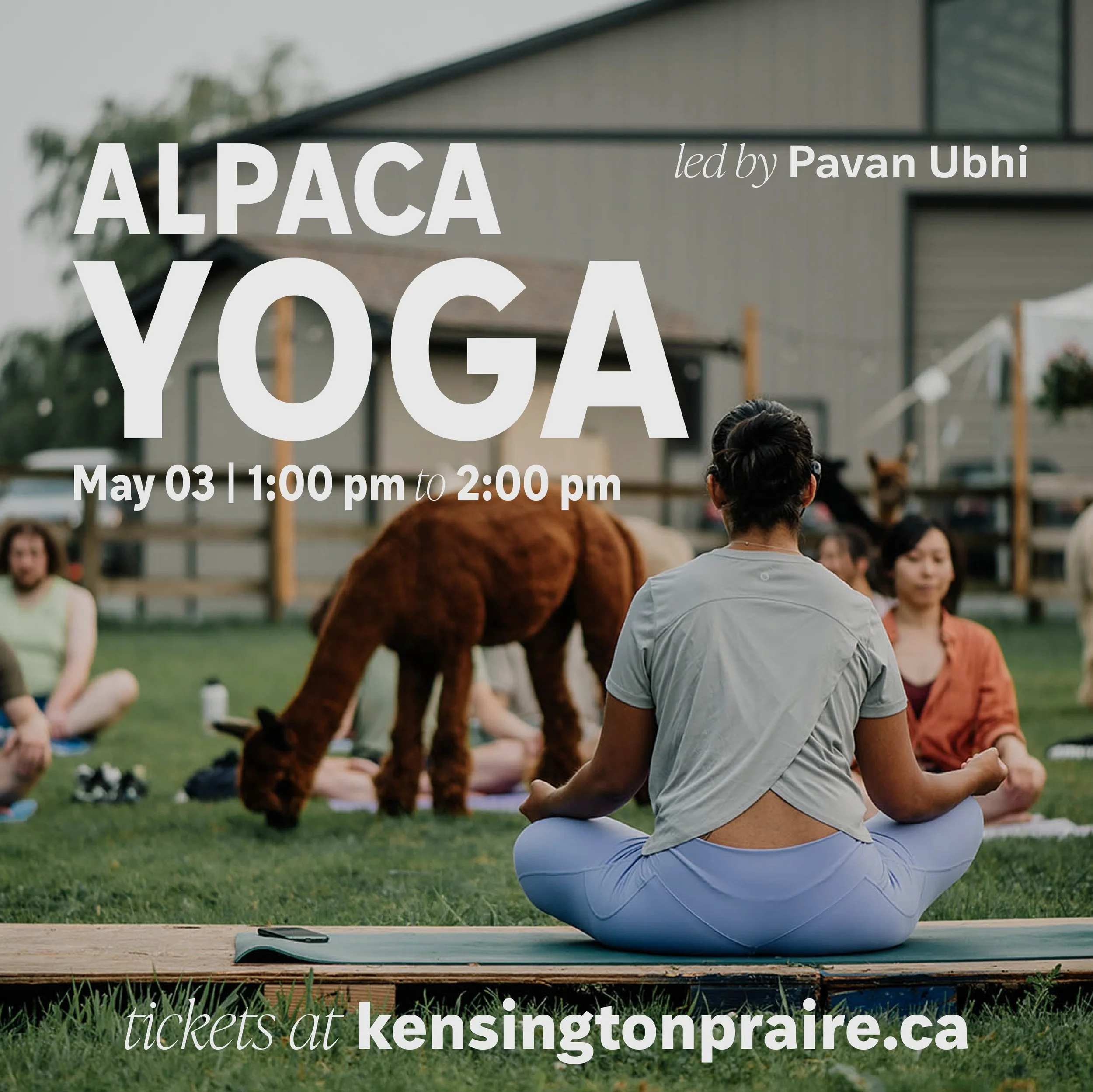 Yoga v1- May 03, 2025.jpg