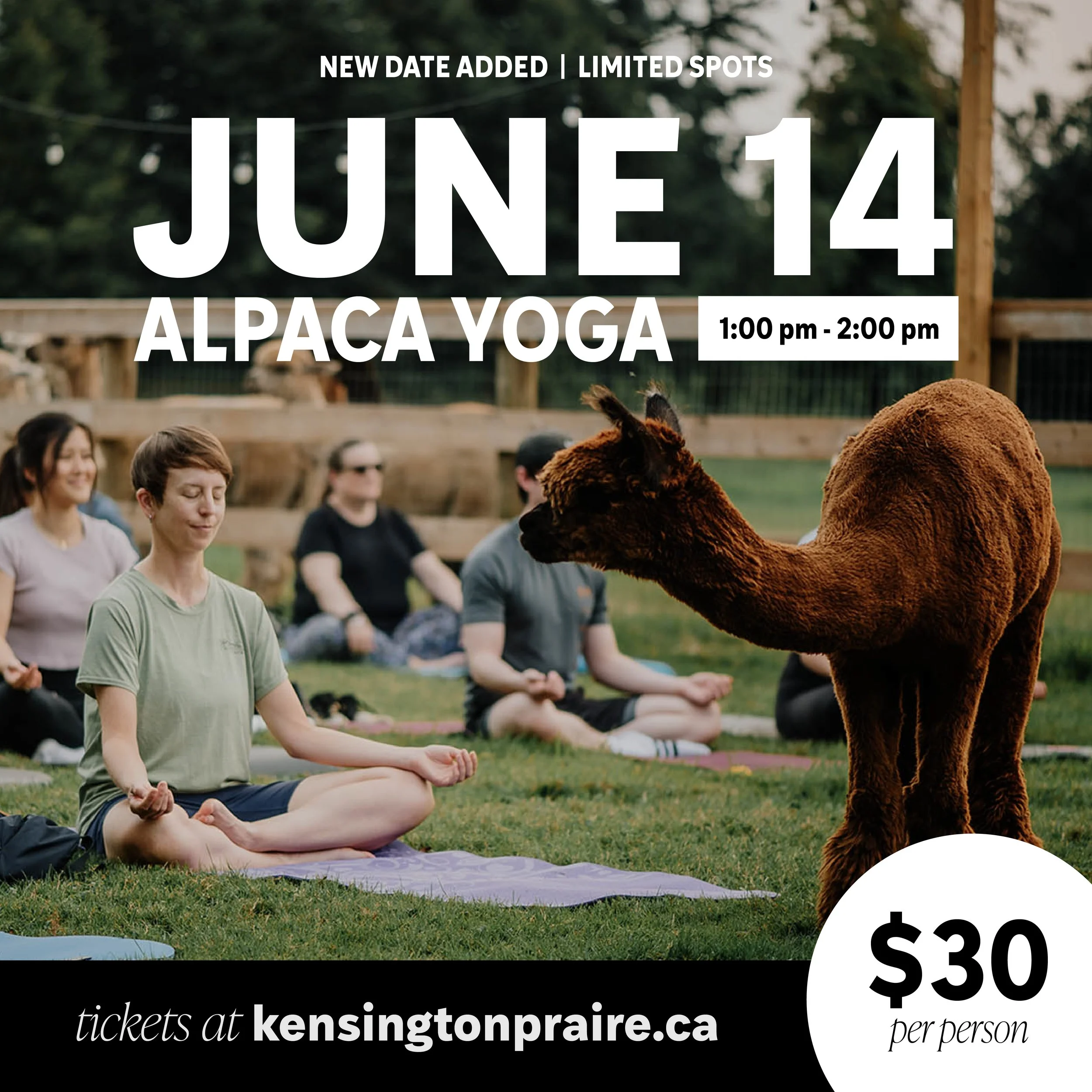 Yoga June 14 (2).jpg