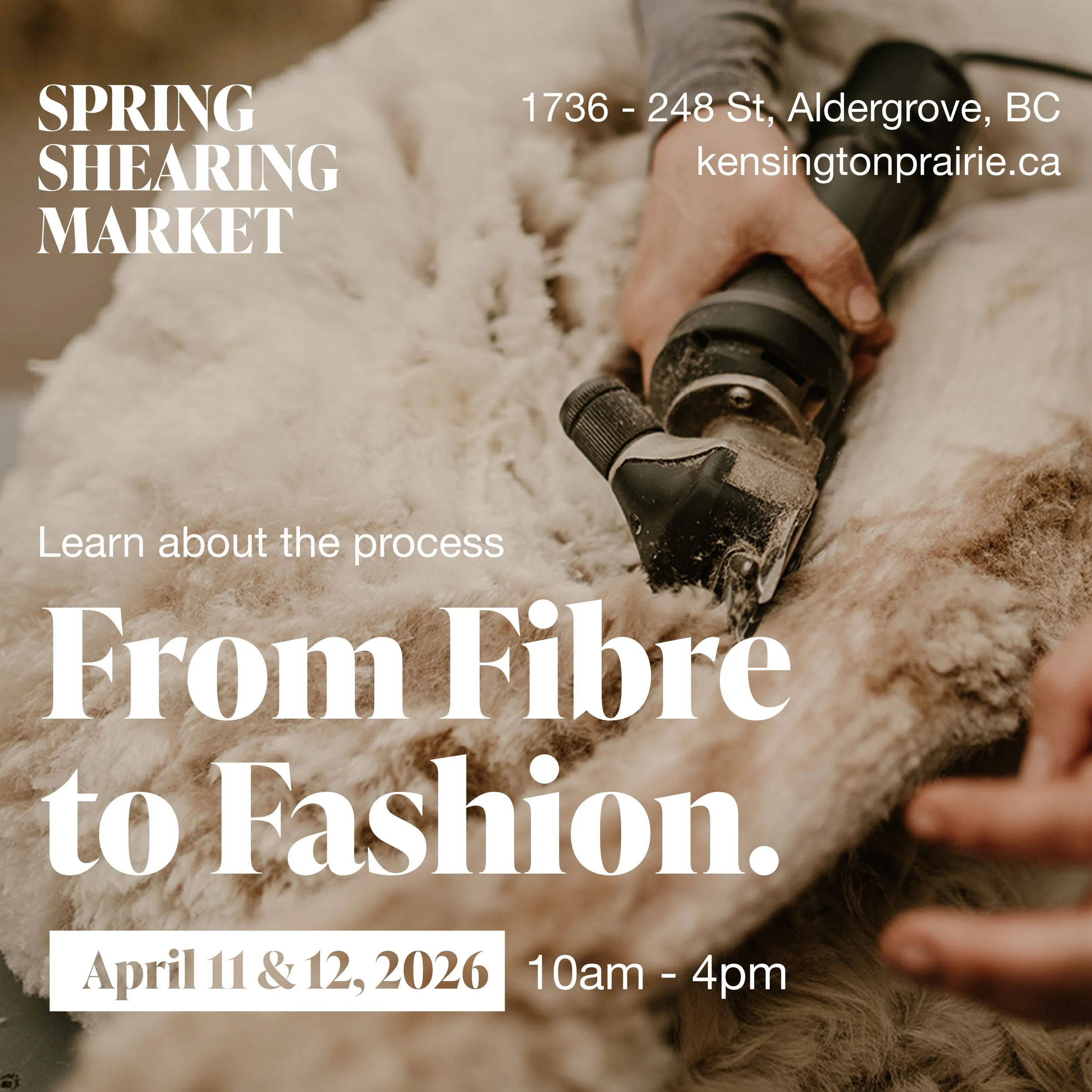 from fibre to fashion.jpg