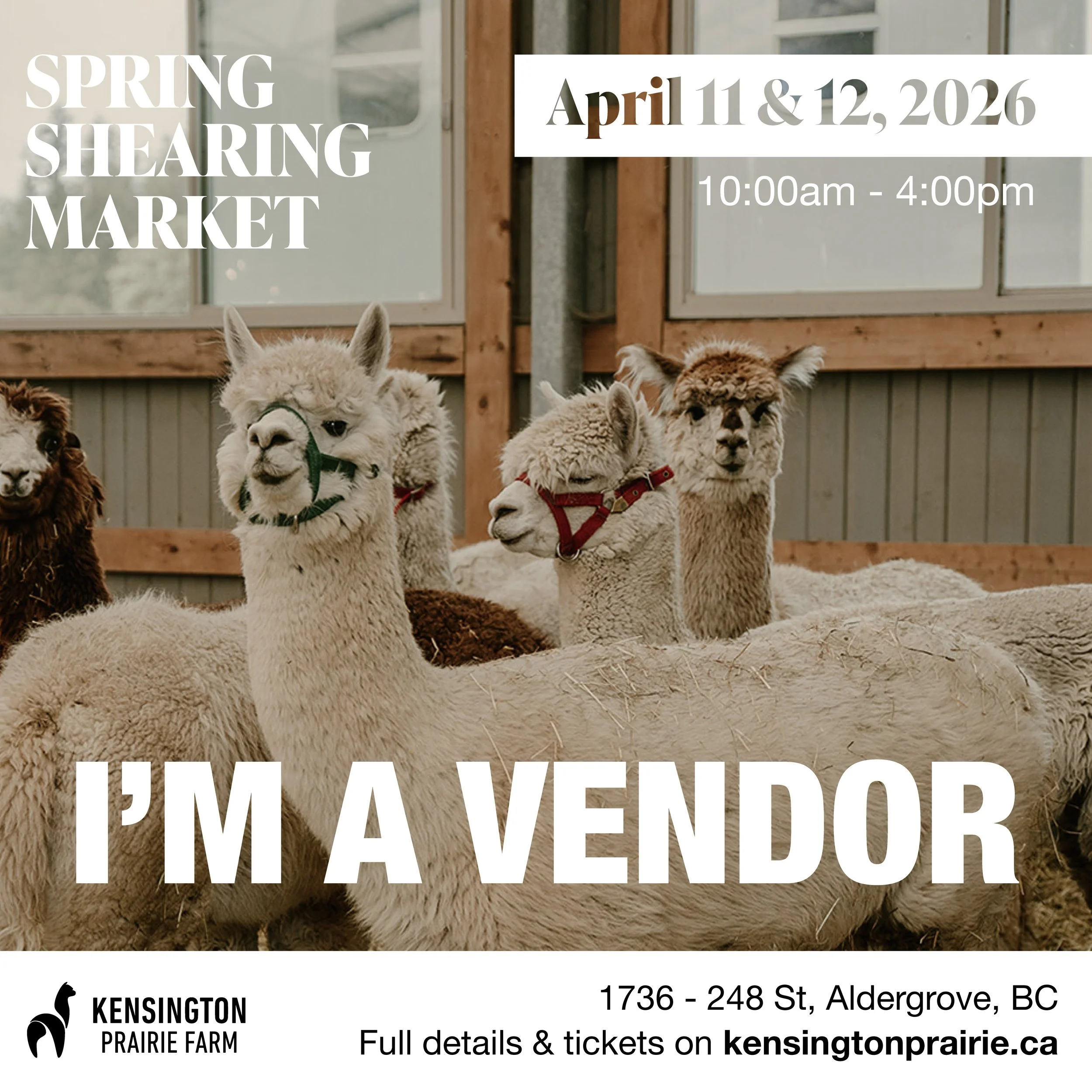 POST_I'M A VENDOR 1.jpg