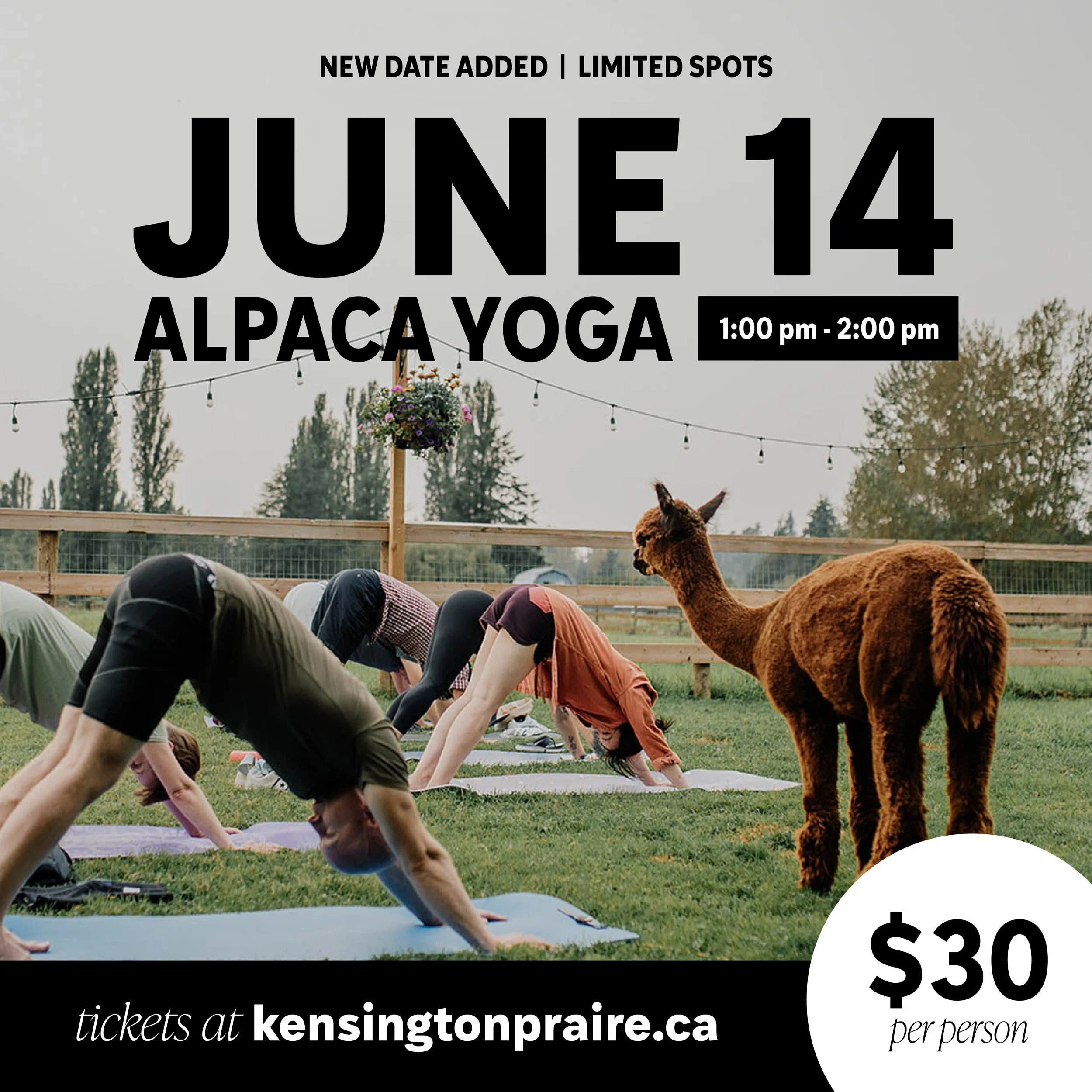 Yoga June 14 (1).jpg