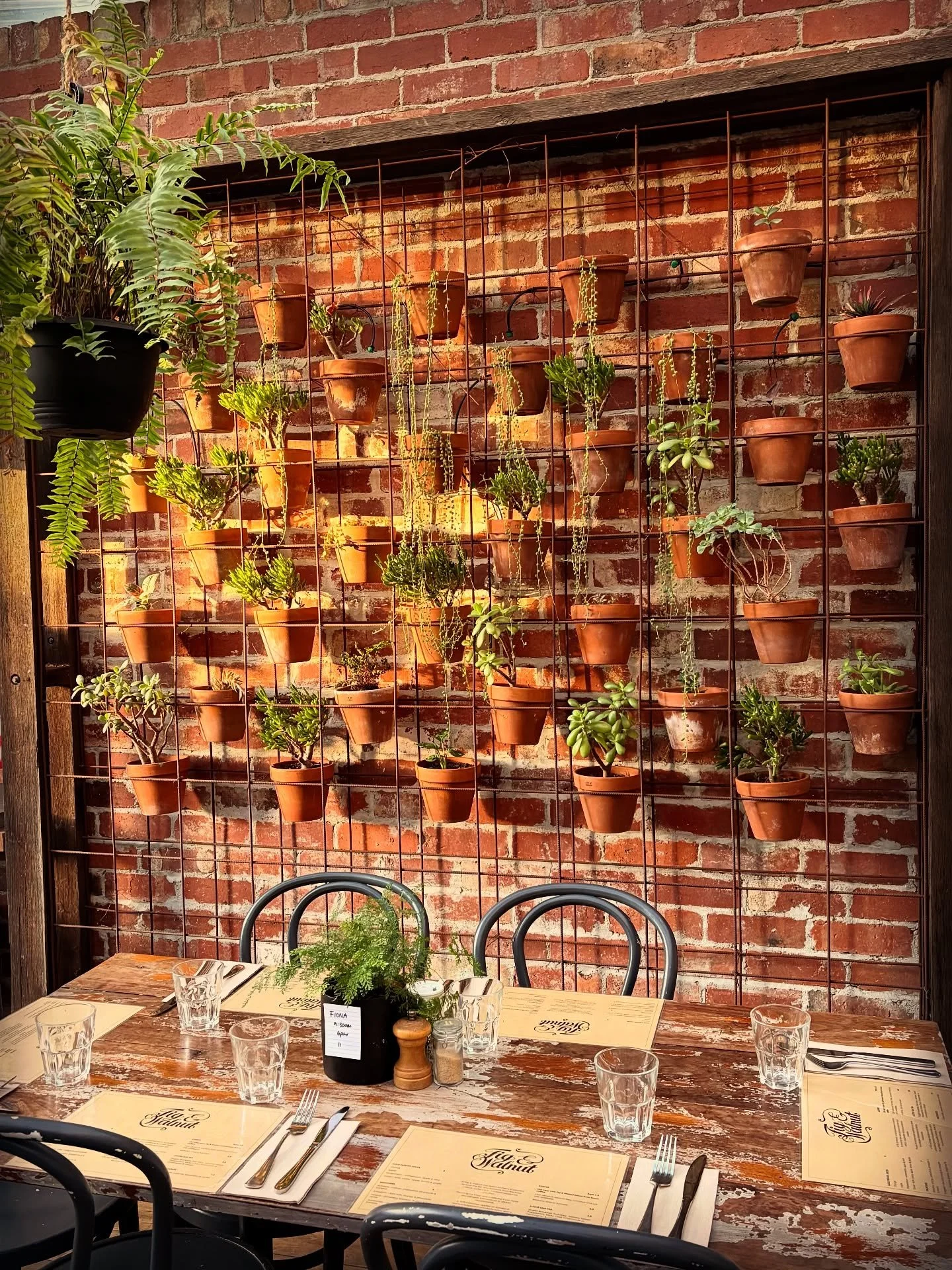 When the sun is shining, there&rsquo;s no better place to enjoy brunch than our sun dappled courtyard 🪴 

.
.
.
.
.
.
. 
.
.
#seddon #seddoncafe #seddoncommunity #innerwestmelbourne #melbournecoffee #melbournecoffeeculture #coffee #melbourne #westis
