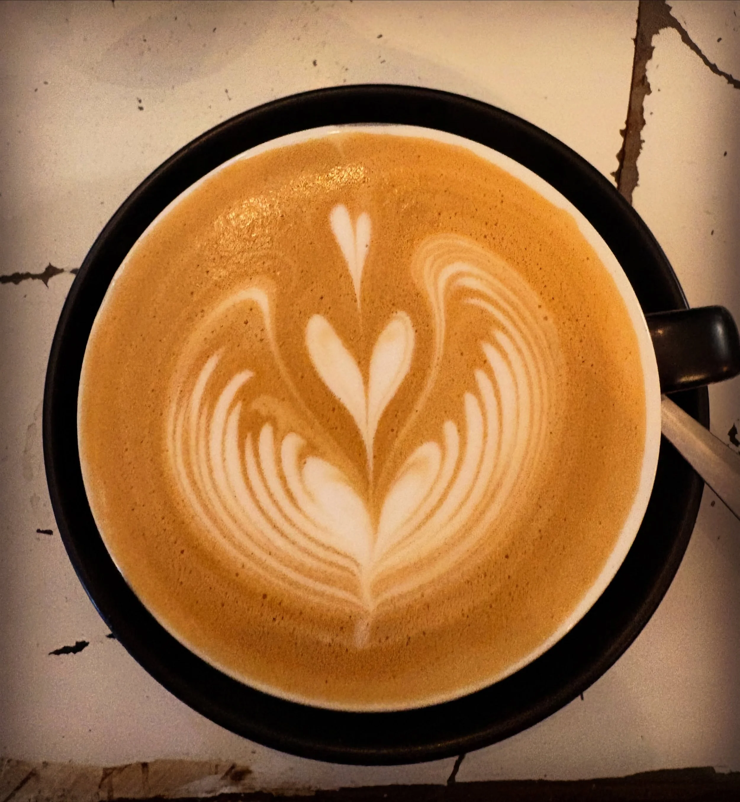 So much love in every cup! ☕️ 

#coffee #melbourne #brunch #melbournecoffeeculture