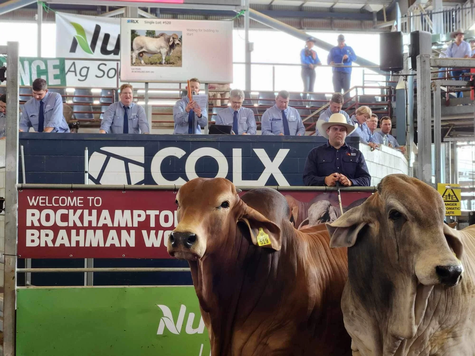 Upcoming Sales — KENT BEEF