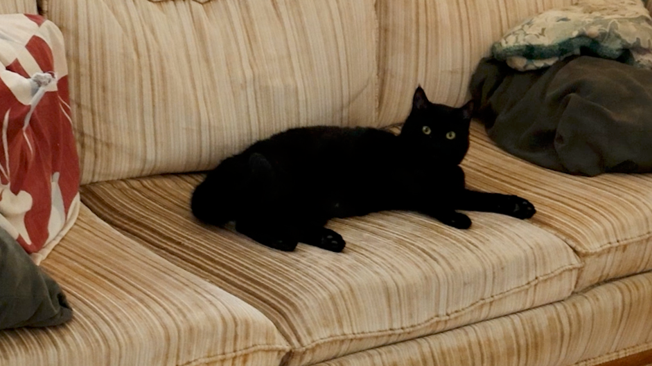 Screenshot 2026-04-27 at 8.57.24 PM.png